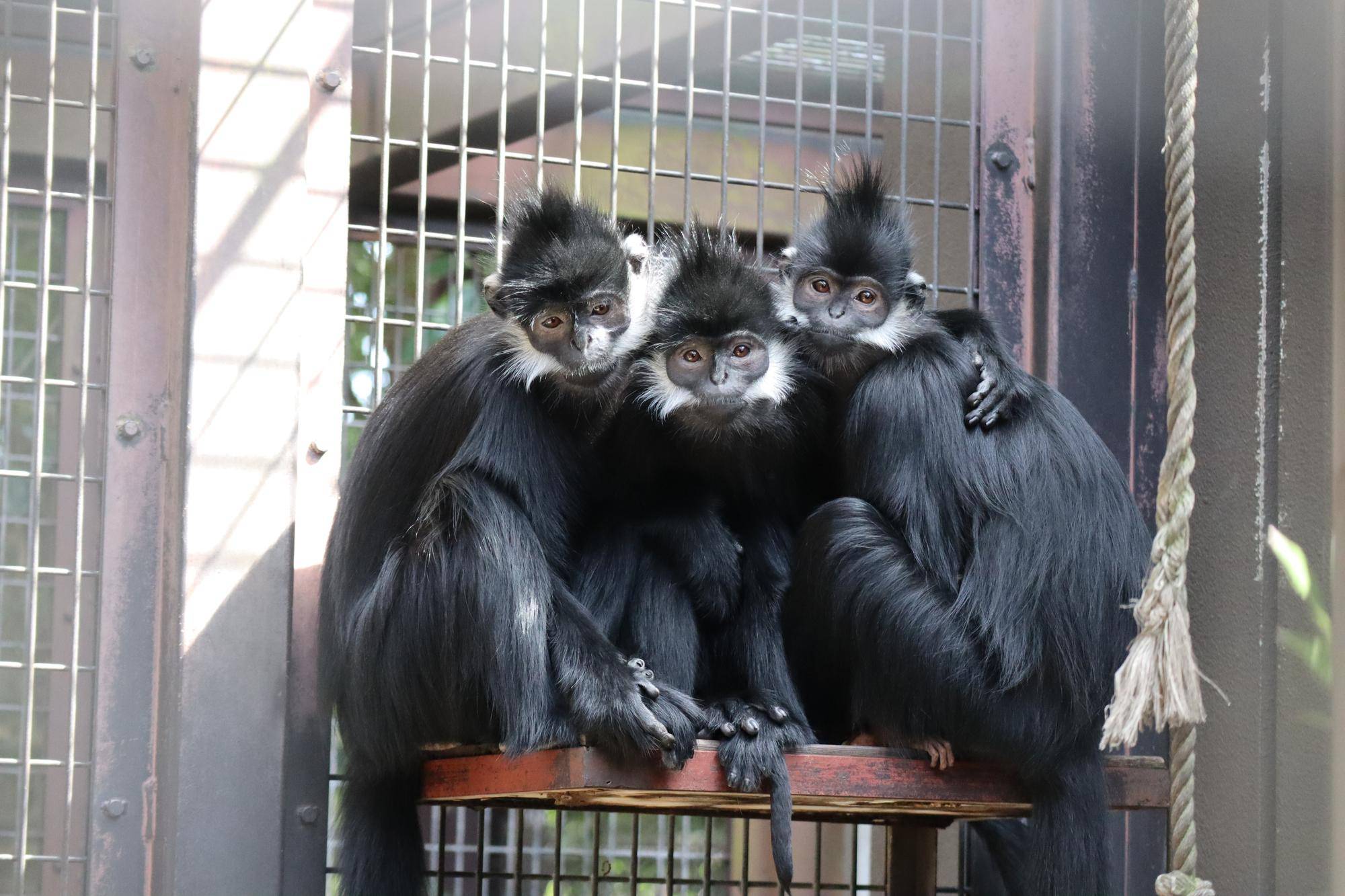 【飼育日誌】20250522：祝！アマナツ母になる (5).jpg