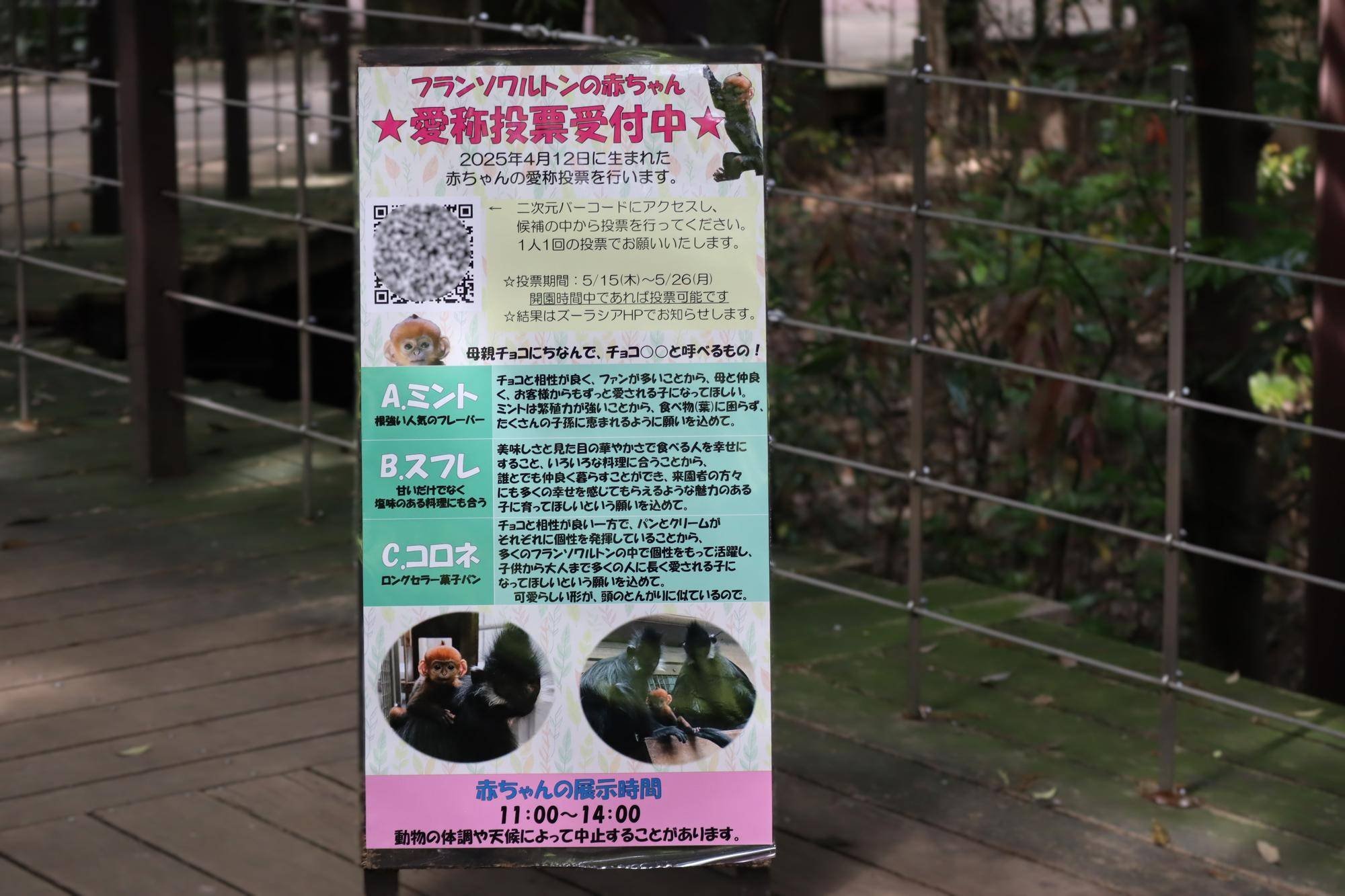 【飼育日誌】20250604：君の名は・・・ (8).jpg