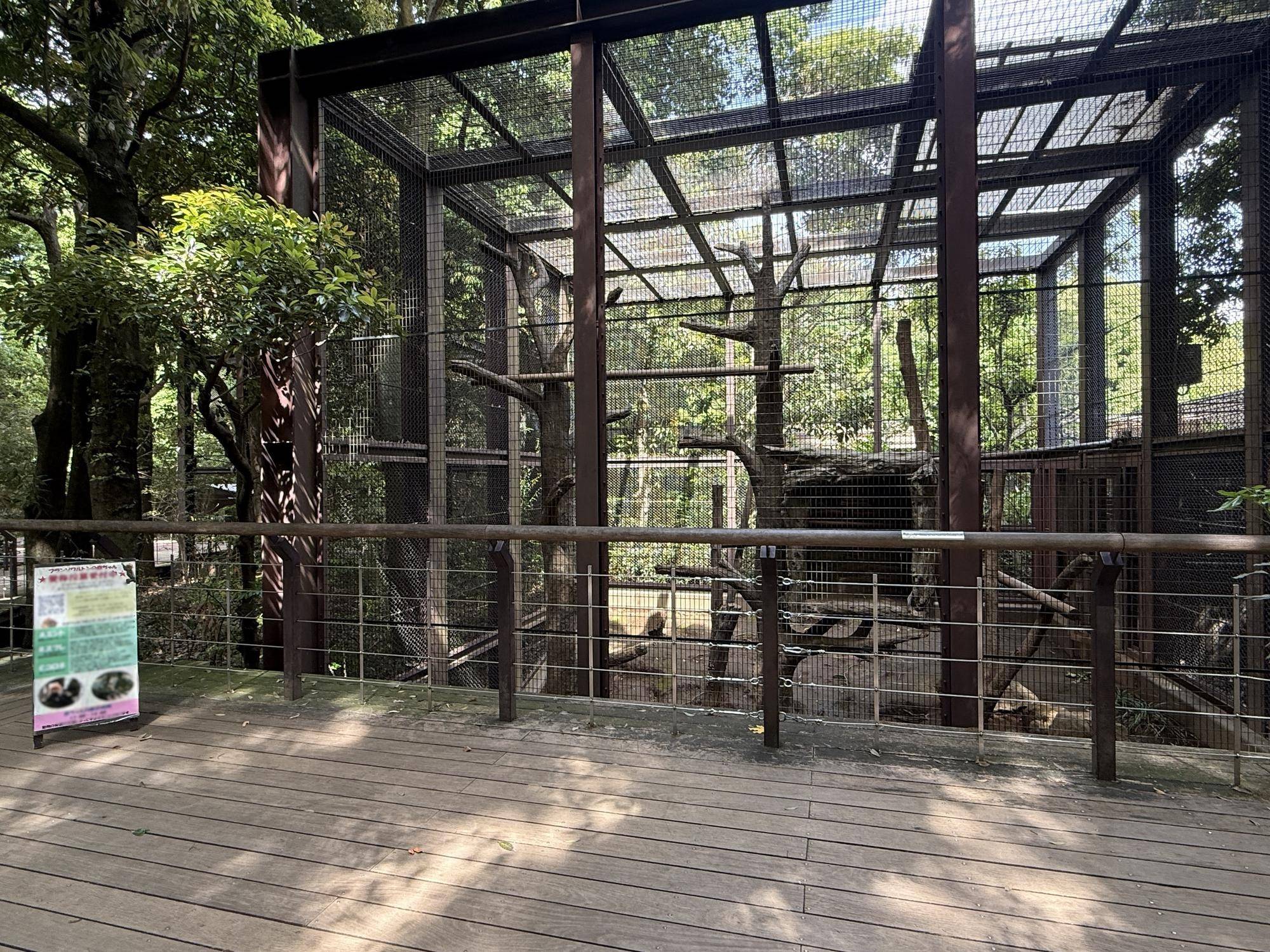 【飼育日誌】202505121：性別発表！ (6).jpg