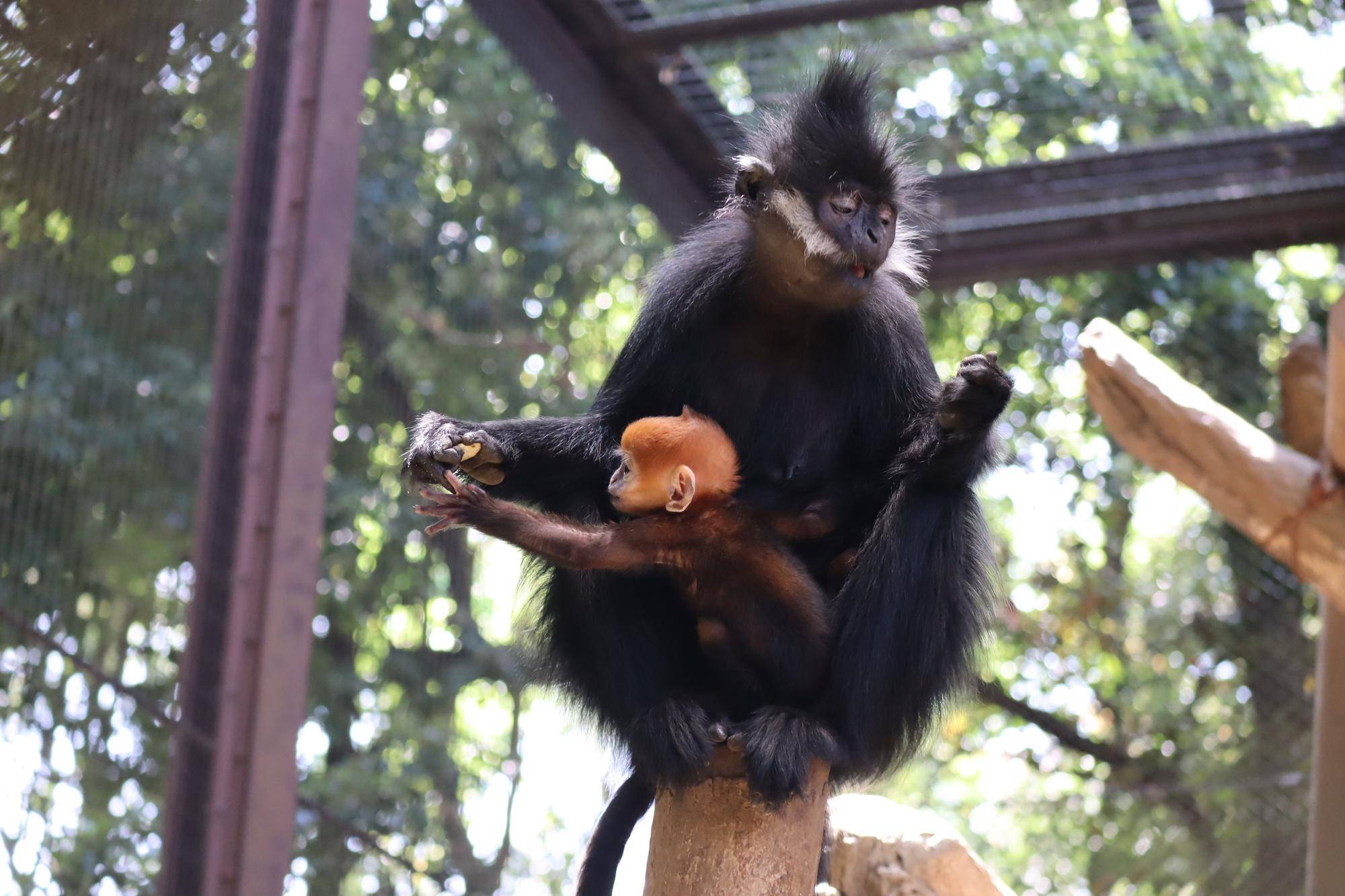 【飼育日誌】20250604：君の名は・・・ (5).jpg