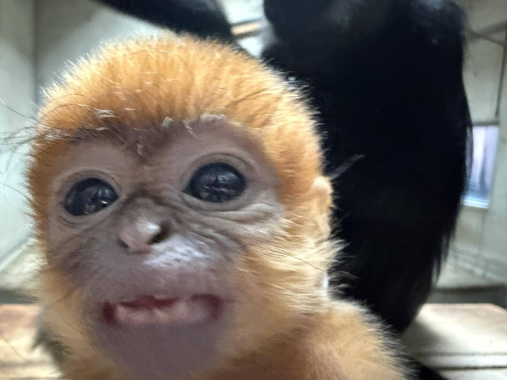 【飼育日誌】20250618:愛称決定しました! (9).jpg