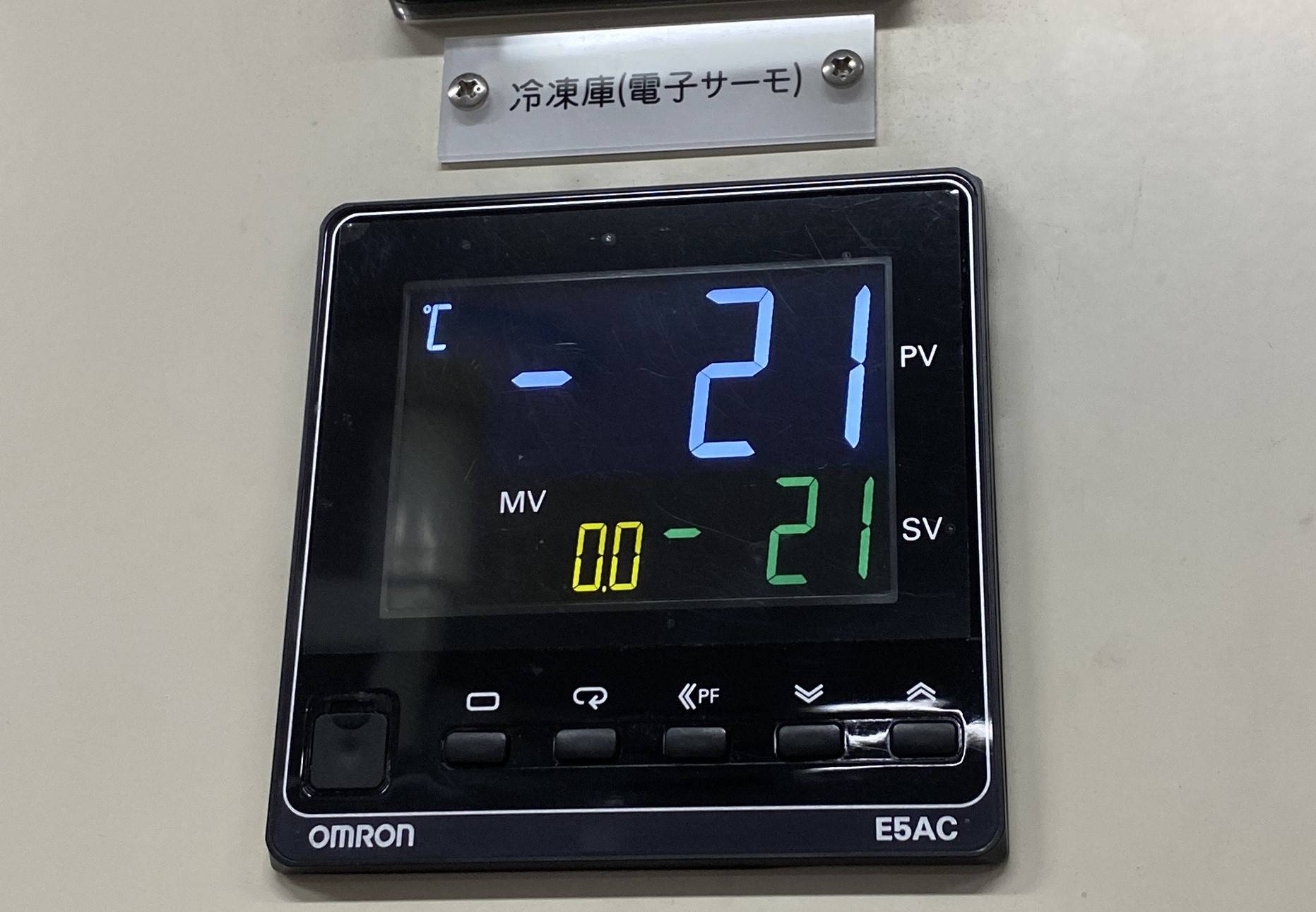 冷凍庫の温度表示‐２１℃.jpeg