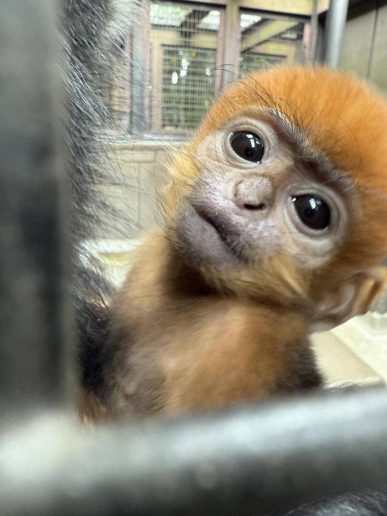 【飼育日誌】20250618:愛称決定しました! (11).jpg