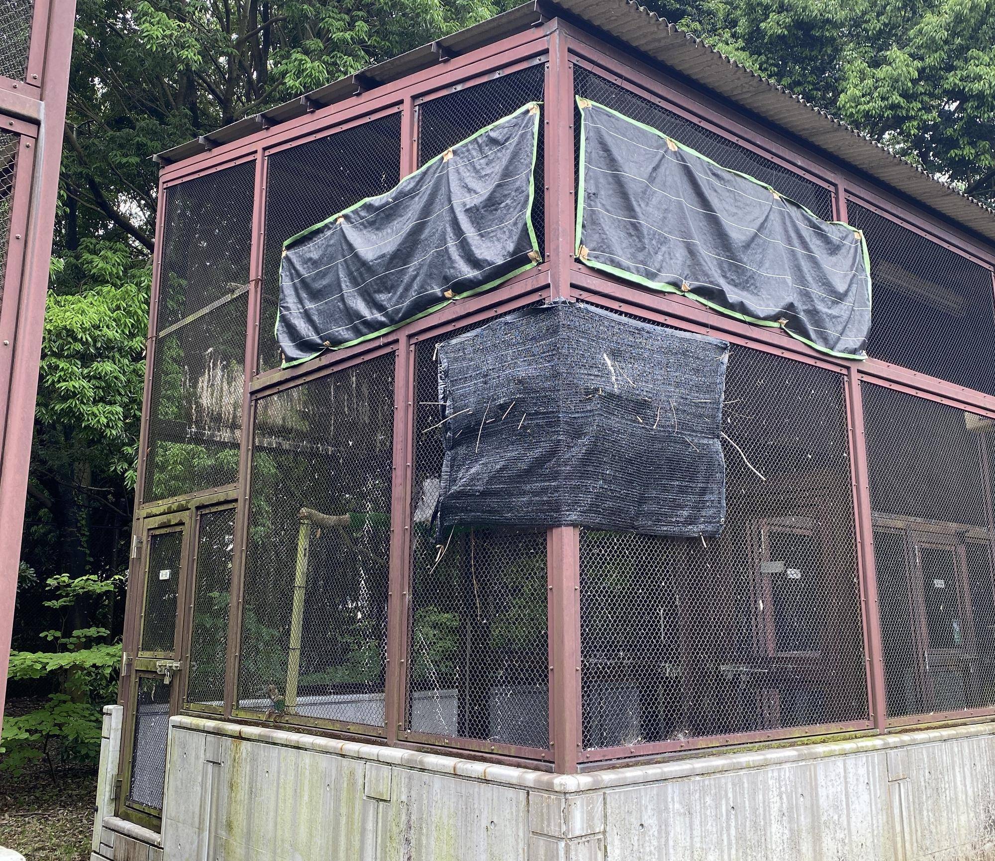 オオタカのケージ 外観.jpeg