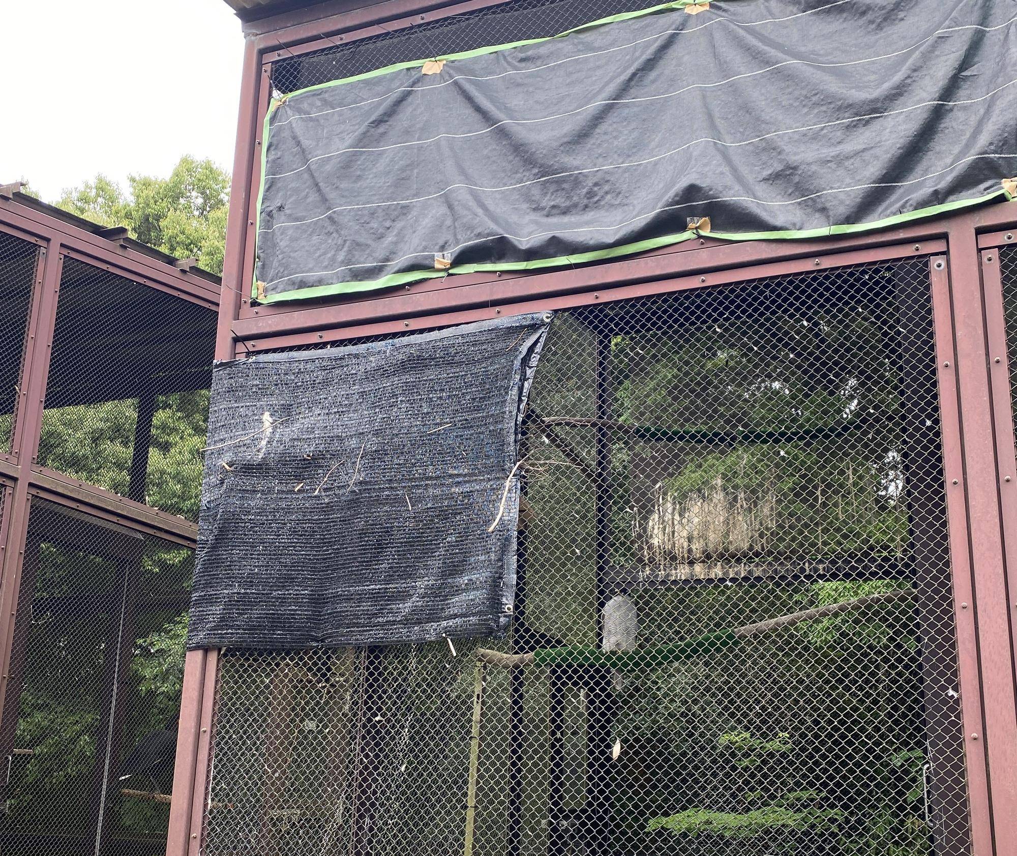 オオタカのケージ 横から.jpeg