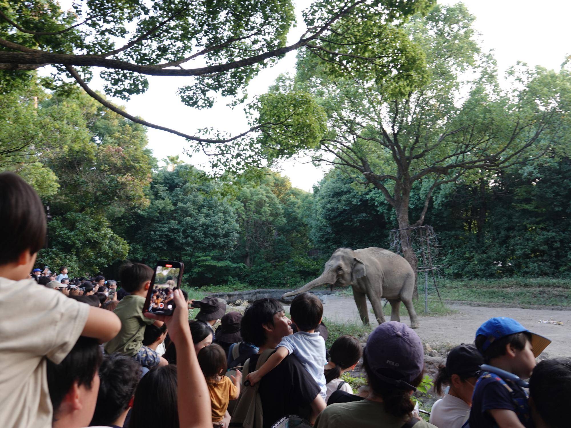 盛況の特別ガイド