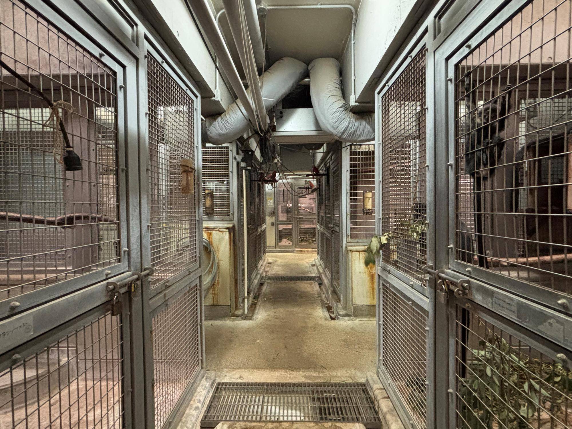 【飼育日誌】20251120:最近のミントのおはなし 寝室の構造.jpg