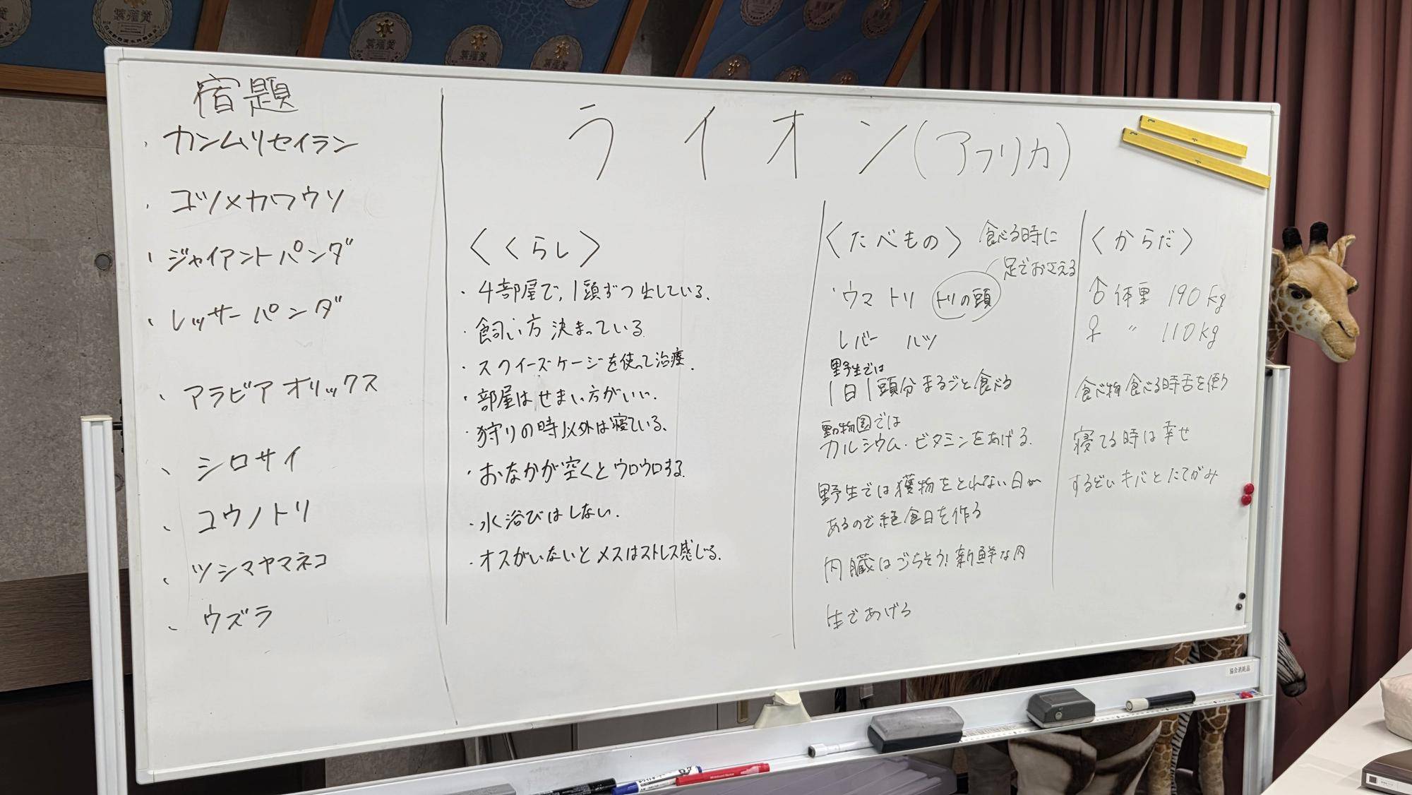 ライオンチーム (2).jpg