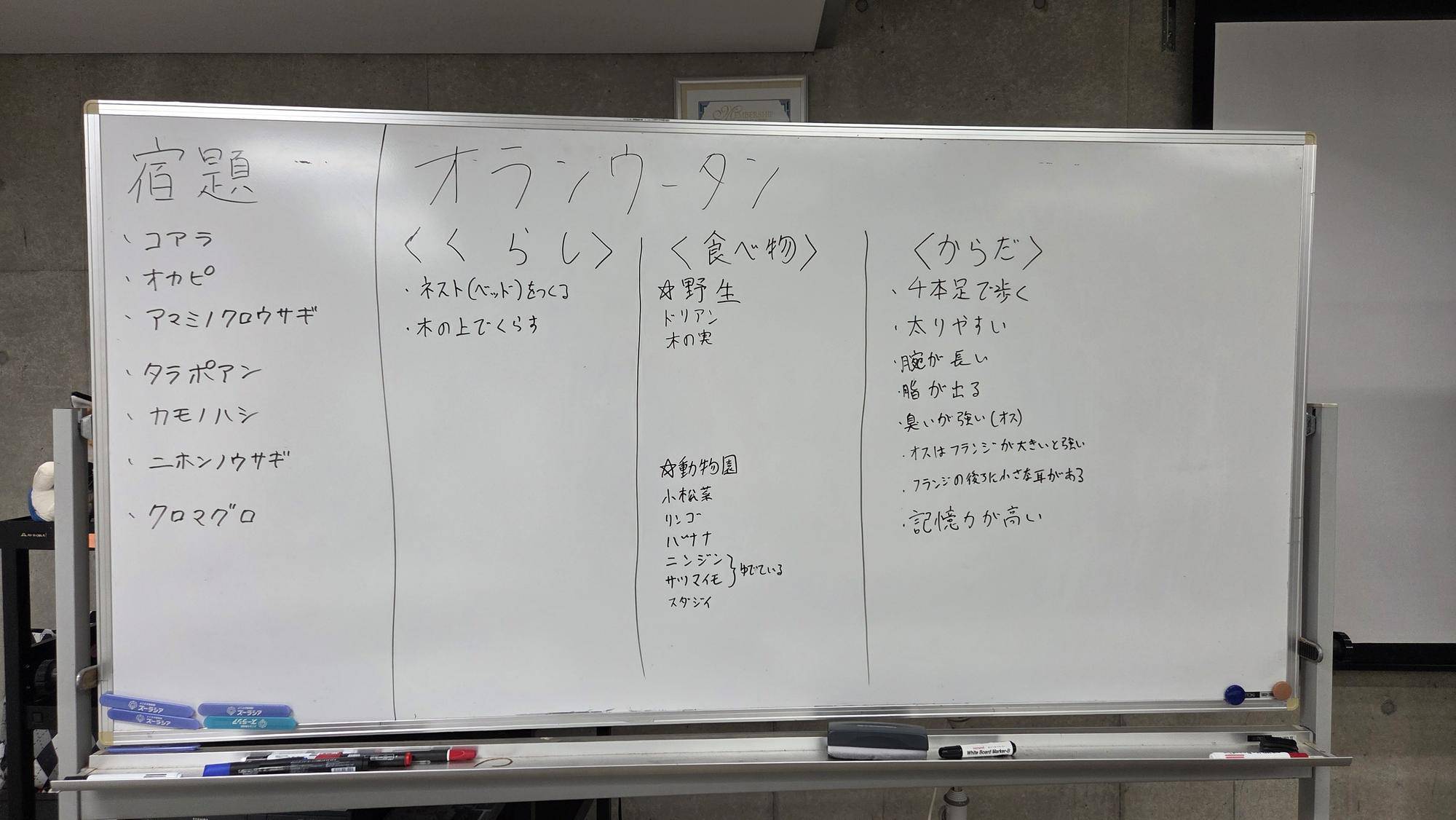 オランウータンチーム (2).jpg