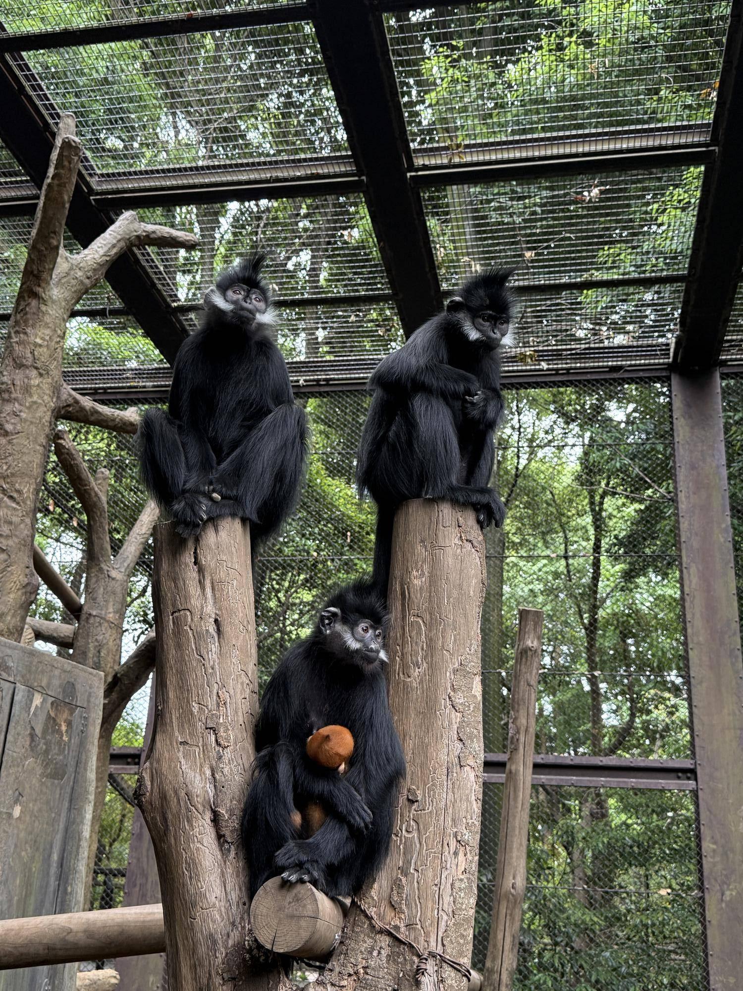 【飼育日誌】20251215：比べてみよう【色】 (3).jpg