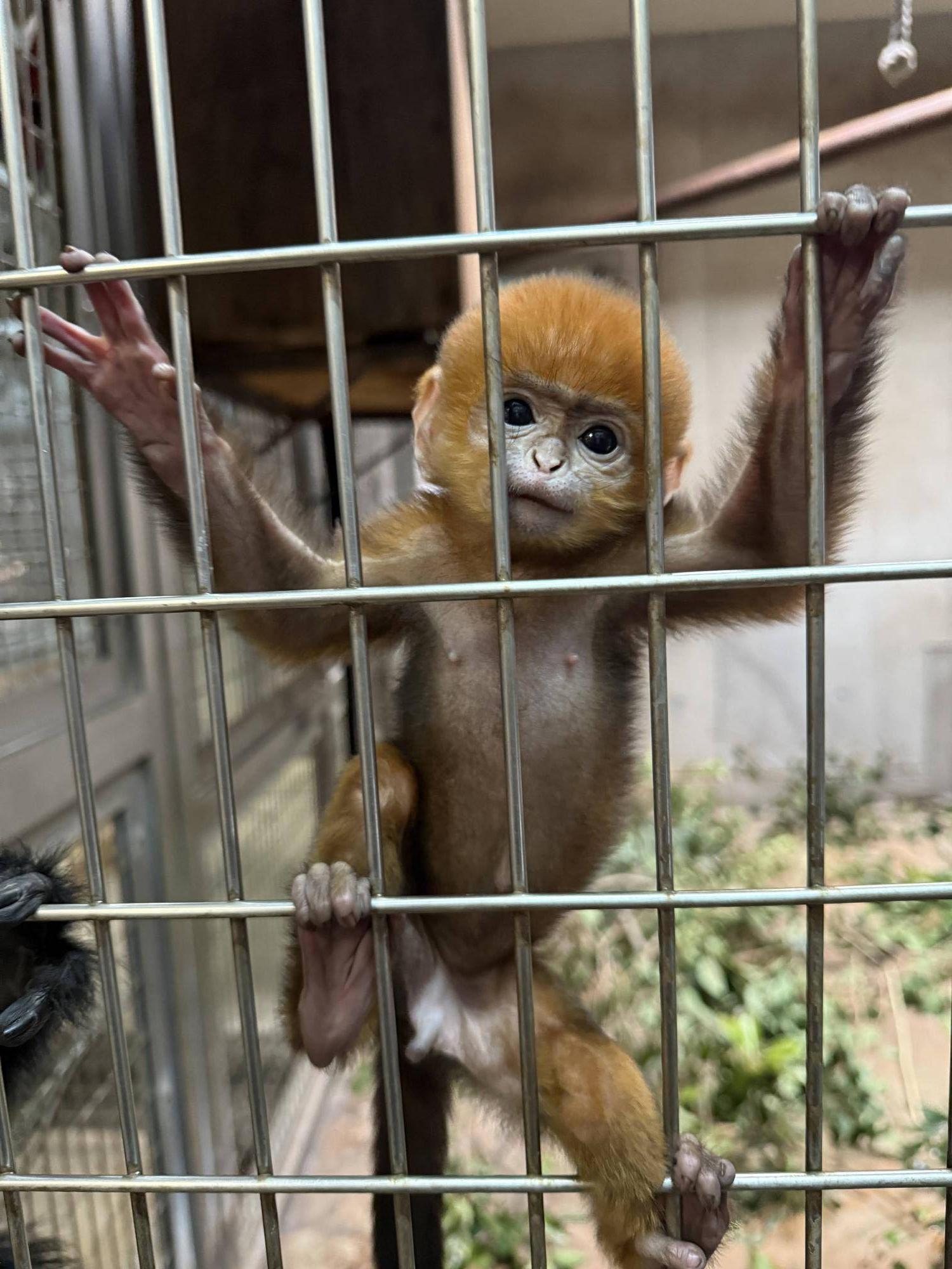 【飼育日誌】20251215：比べてみよう【色】 (12).jpg