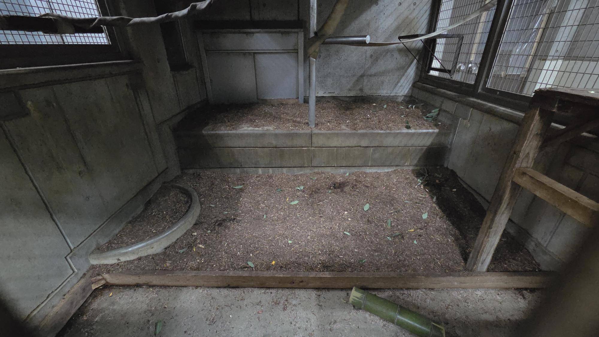 寝室に敷いたおが粉