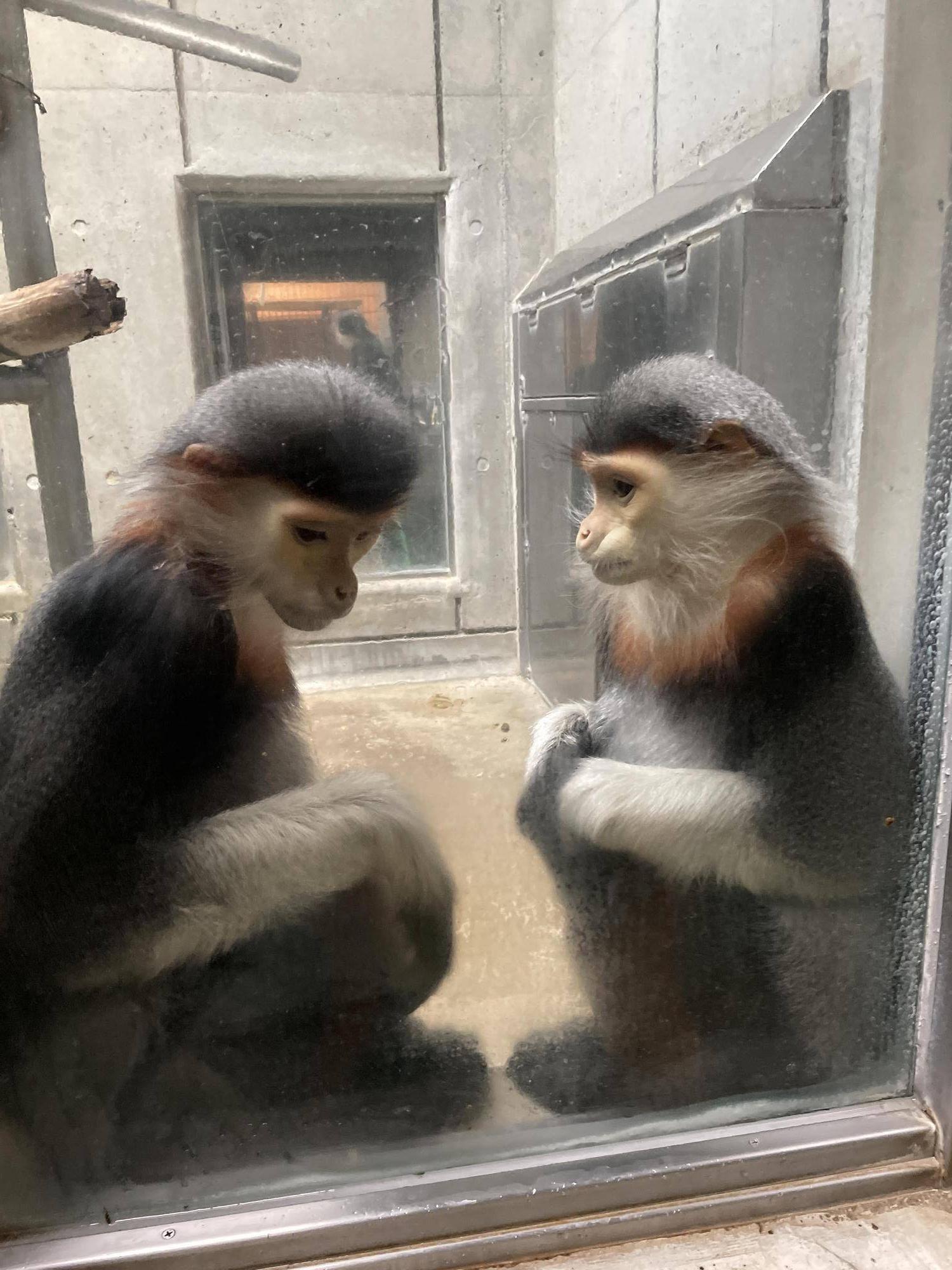 【飼育日誌】20260315：祝！生まれたよ！ (7).jpg