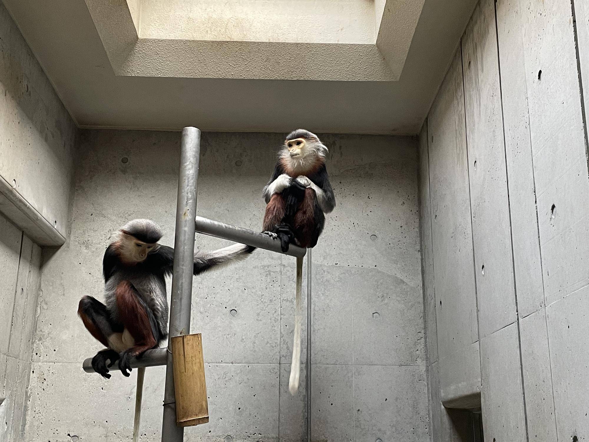 【飼育日誌】20260315：祝！生まれたよ！ (6).jpg