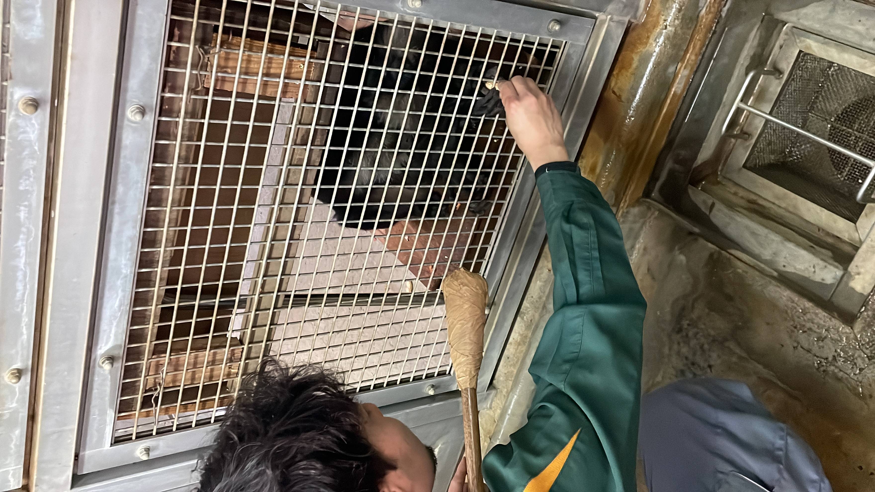 親子一緒に体重測定