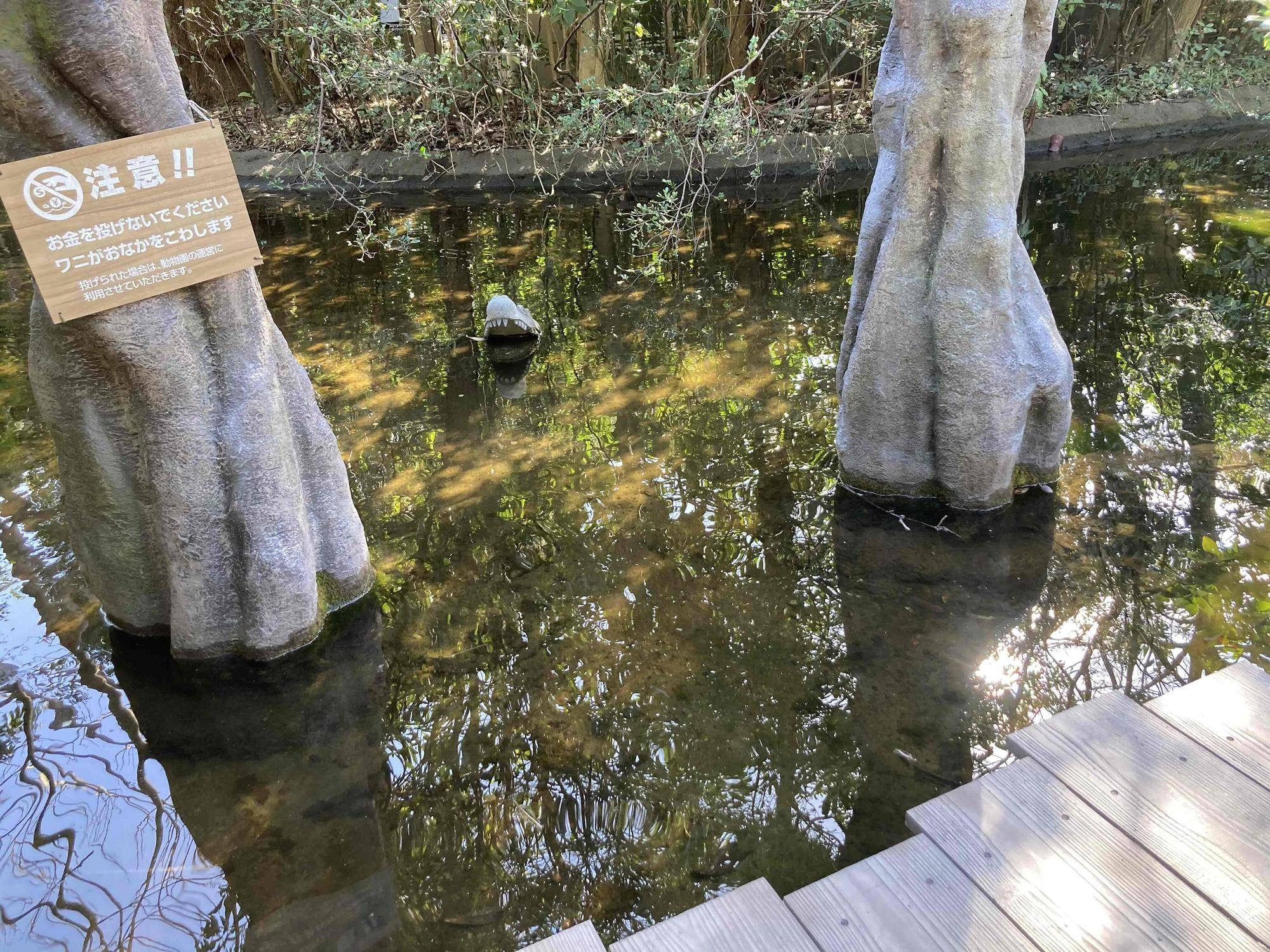 ワニ池①.jpg