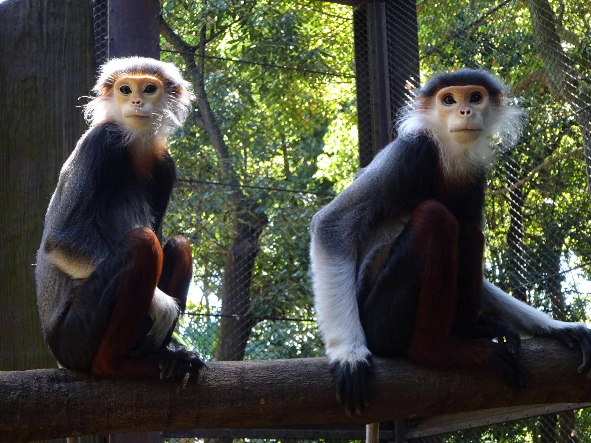 【飼育日誌】20260315：祝！生まれたよ！ (3)コイツバ.jpg