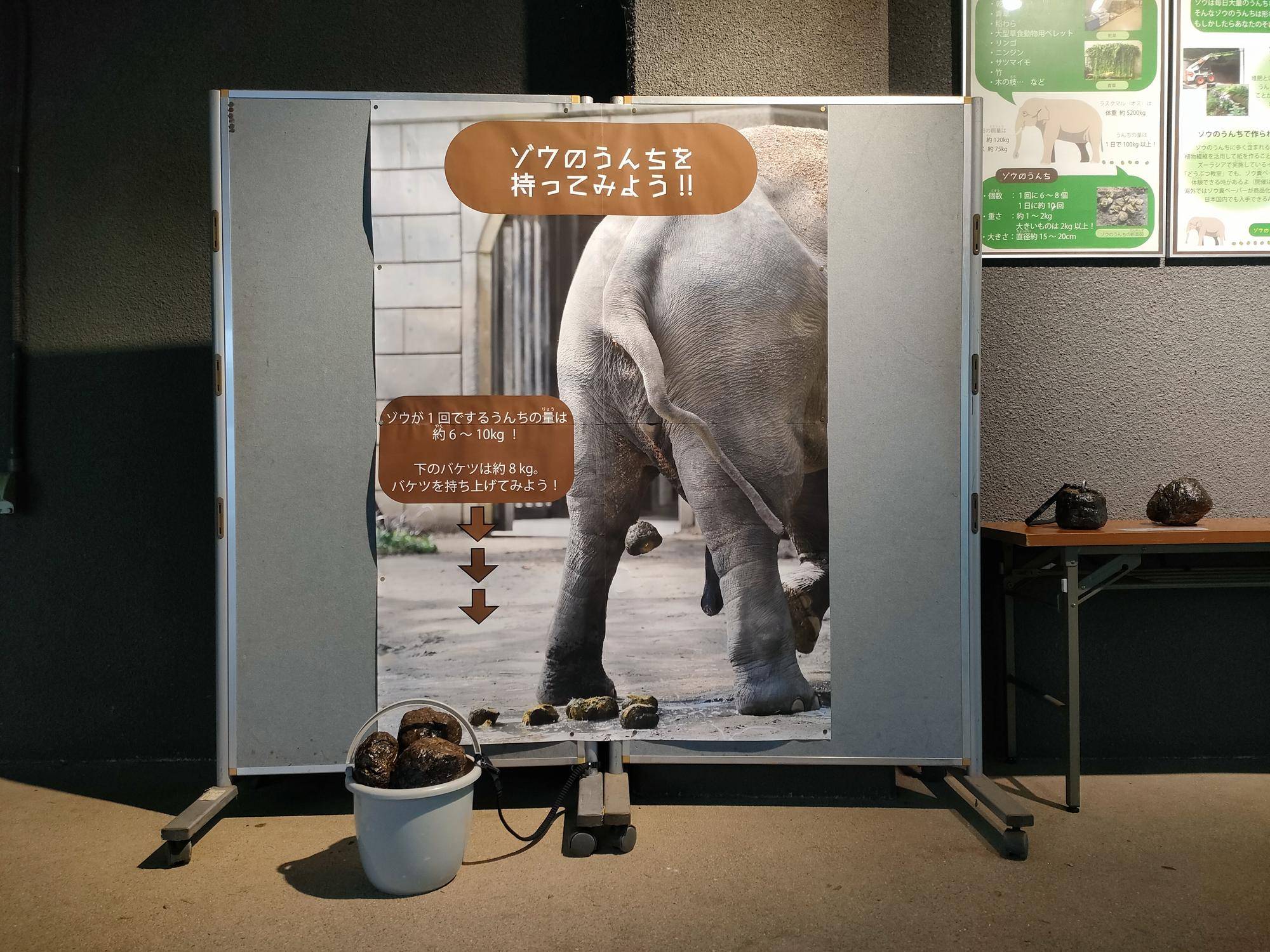 ゾウのうんちを持ってみよう！コーナー.jpg