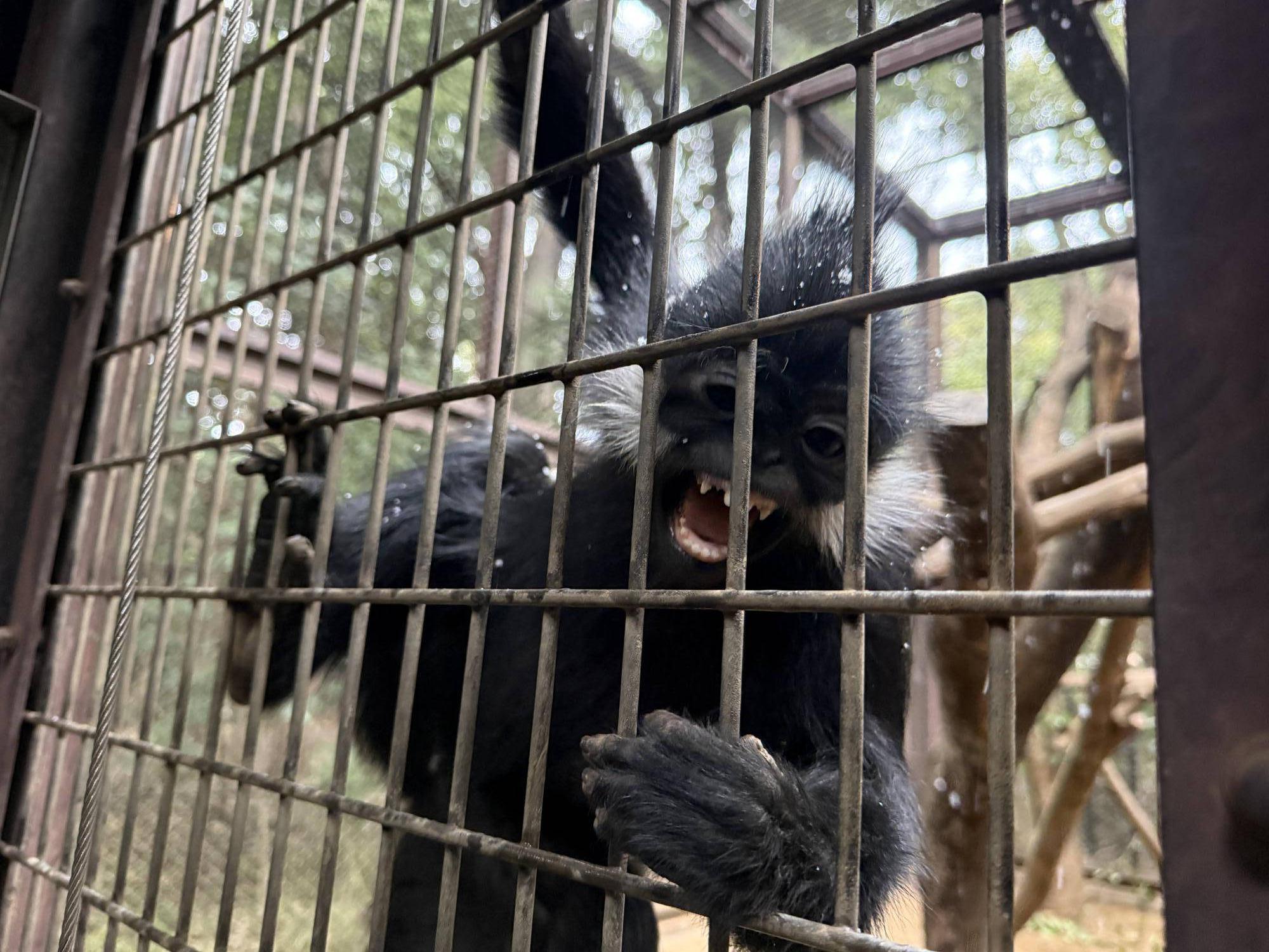 【飼育日誌】20260315：祝！生まれたよ！ (8).jpg