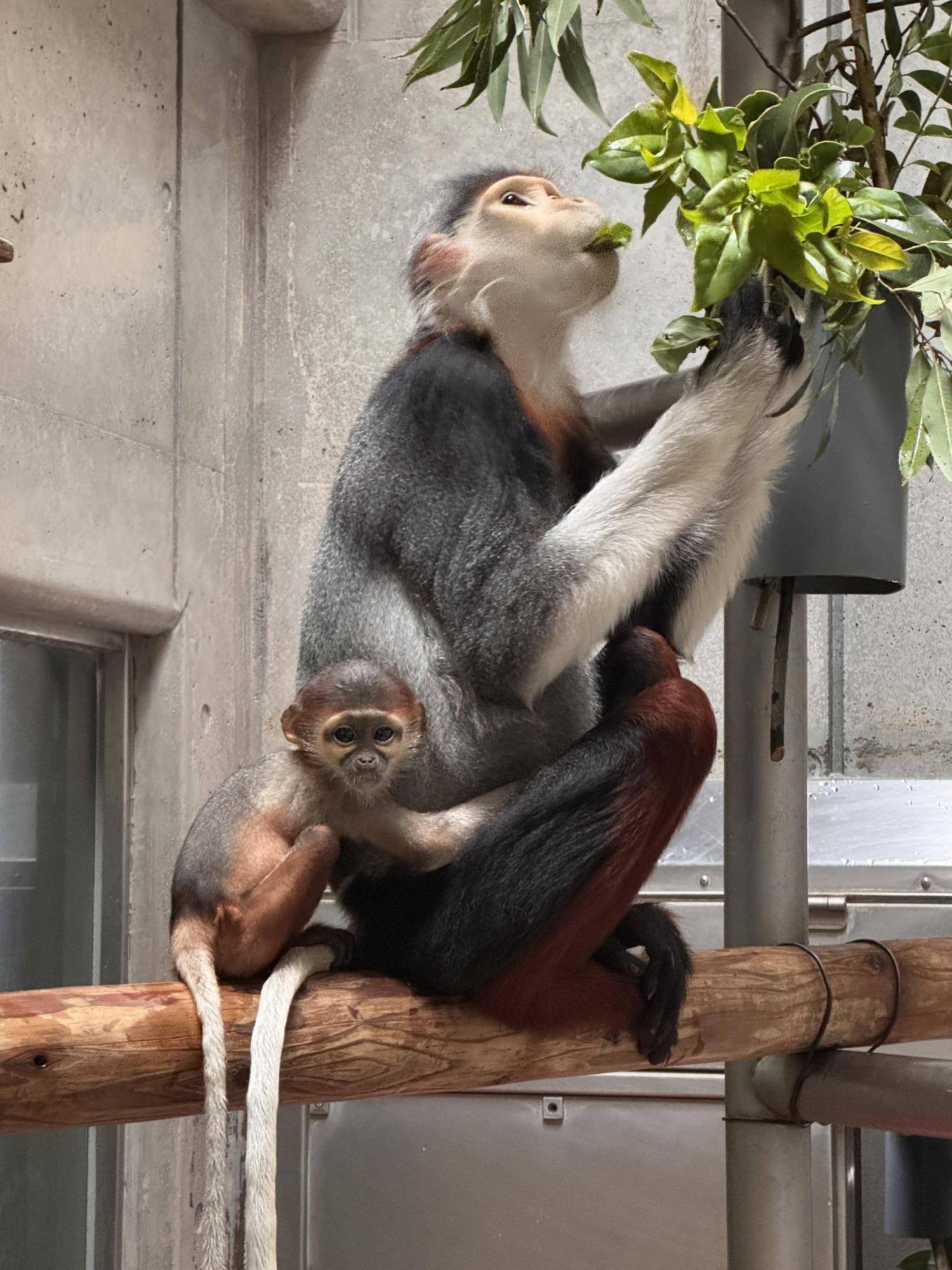 父モイに後ろから抱き着く赤ちゃん