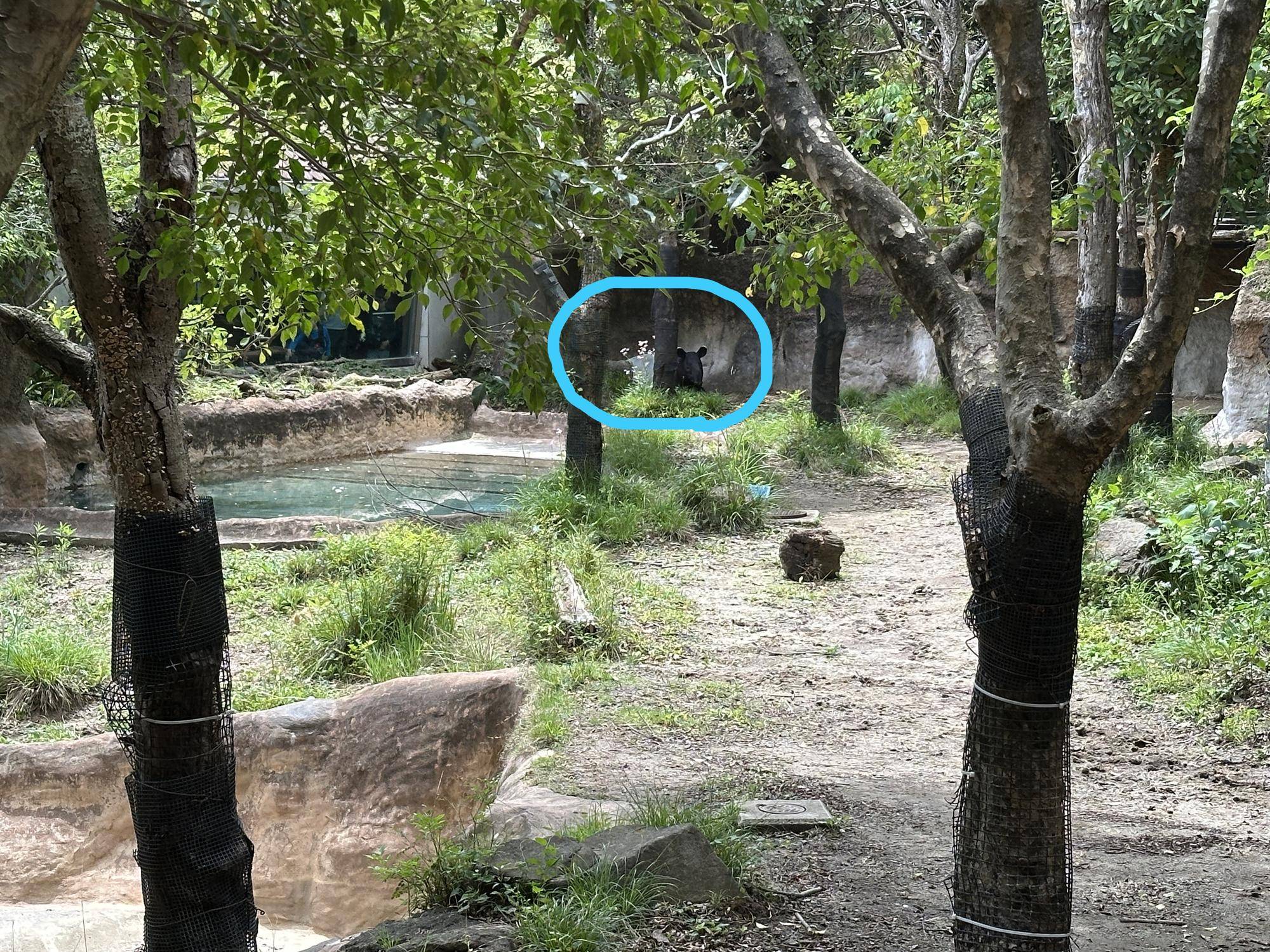 バク3.jpg