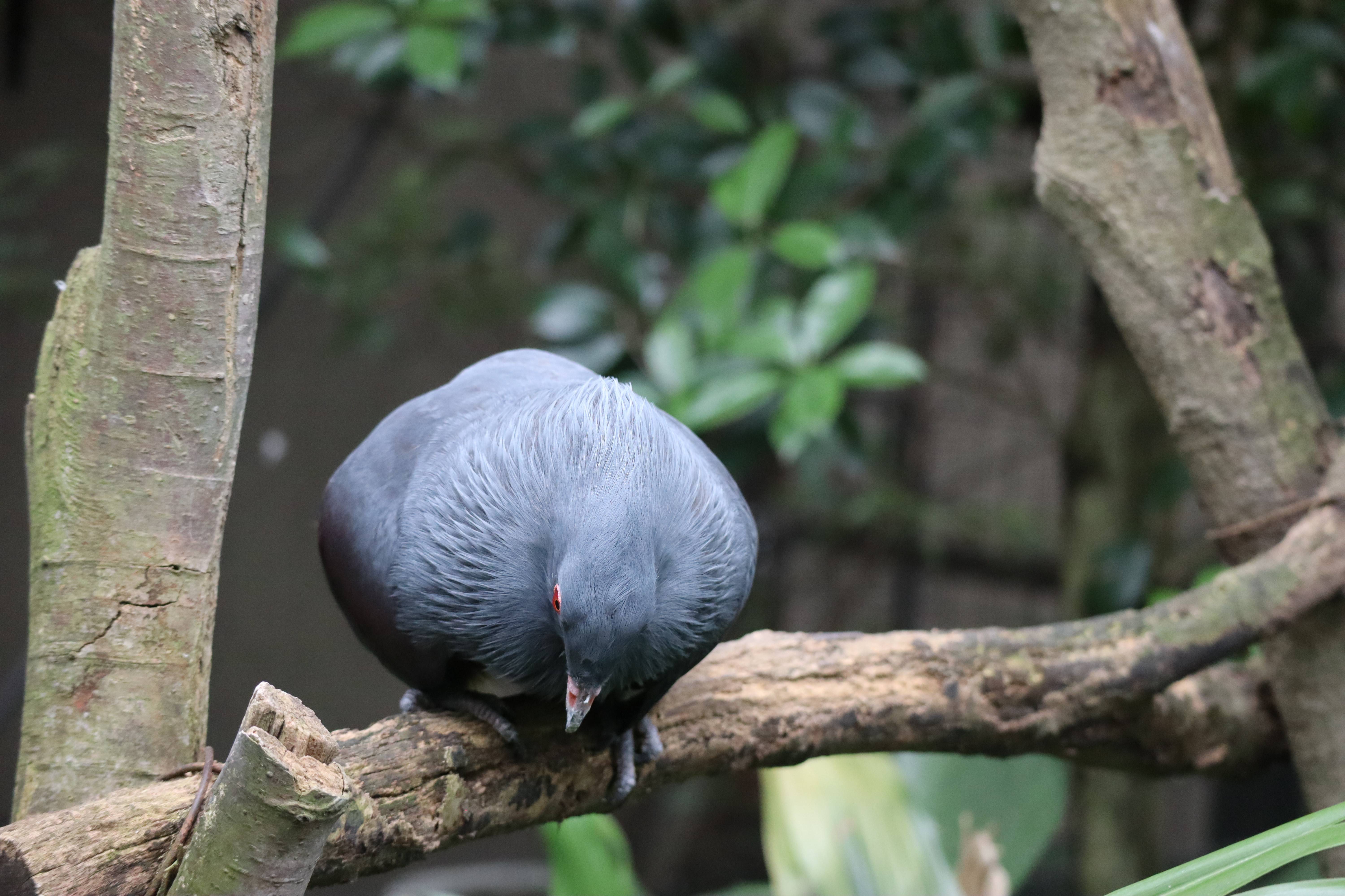 【飼育日誌】20201031：激変 (16).jpg