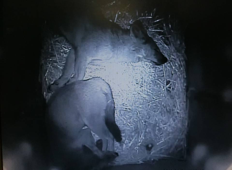 バースデー (10).jpg