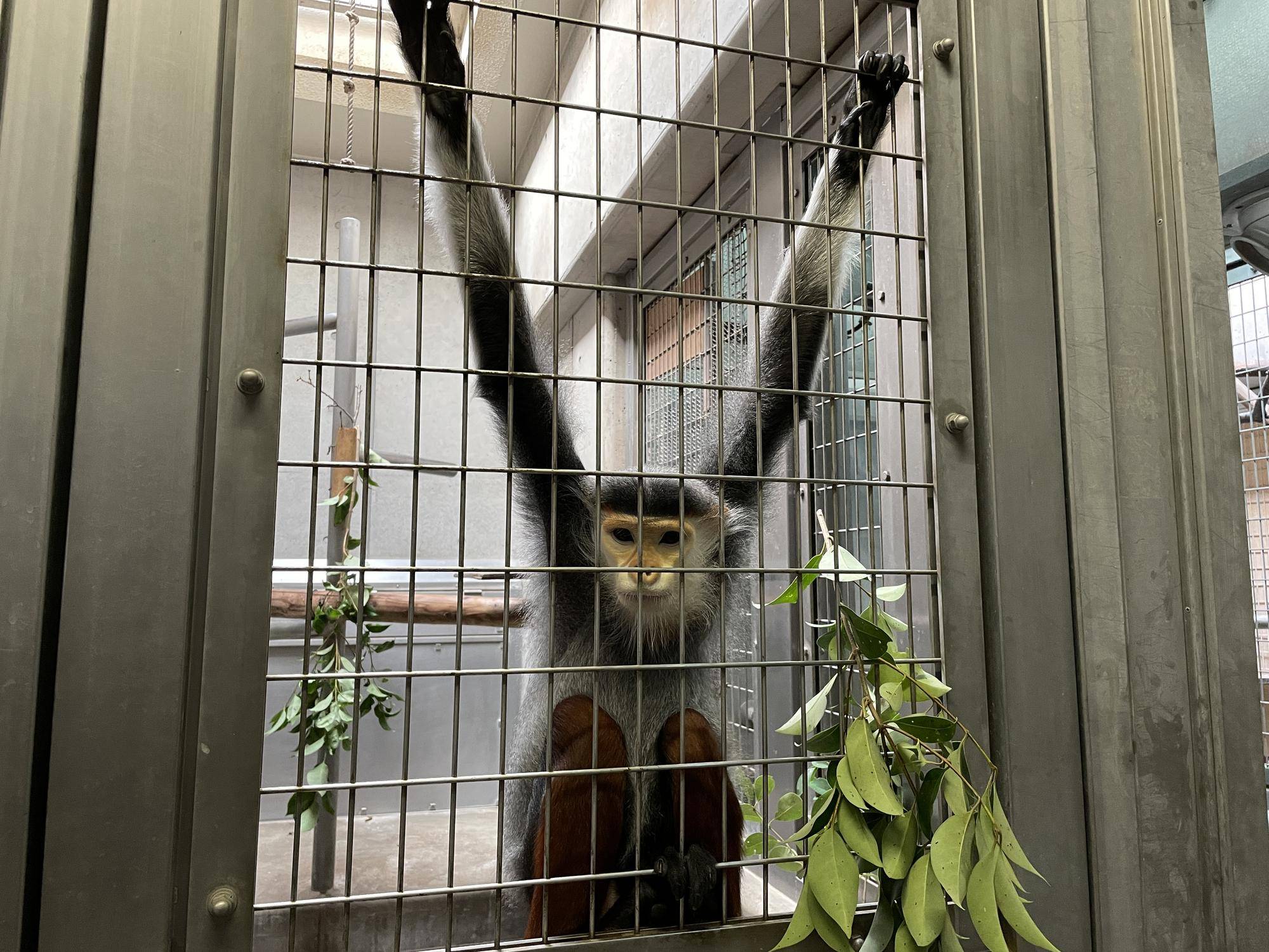 【飼育日誌】20220802：マニプクの思い出 (5).jpg