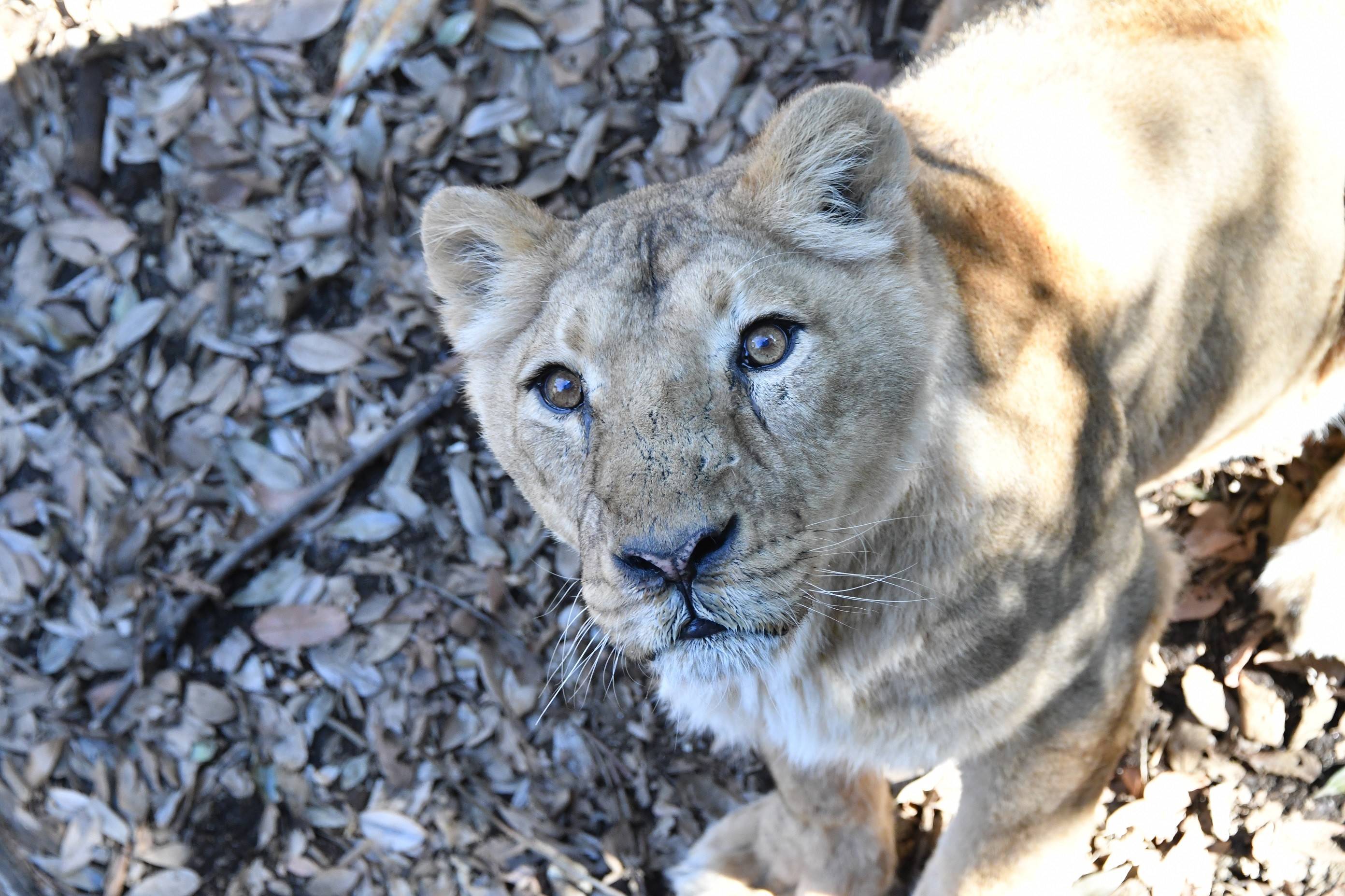 06サティ - コピー.jpg