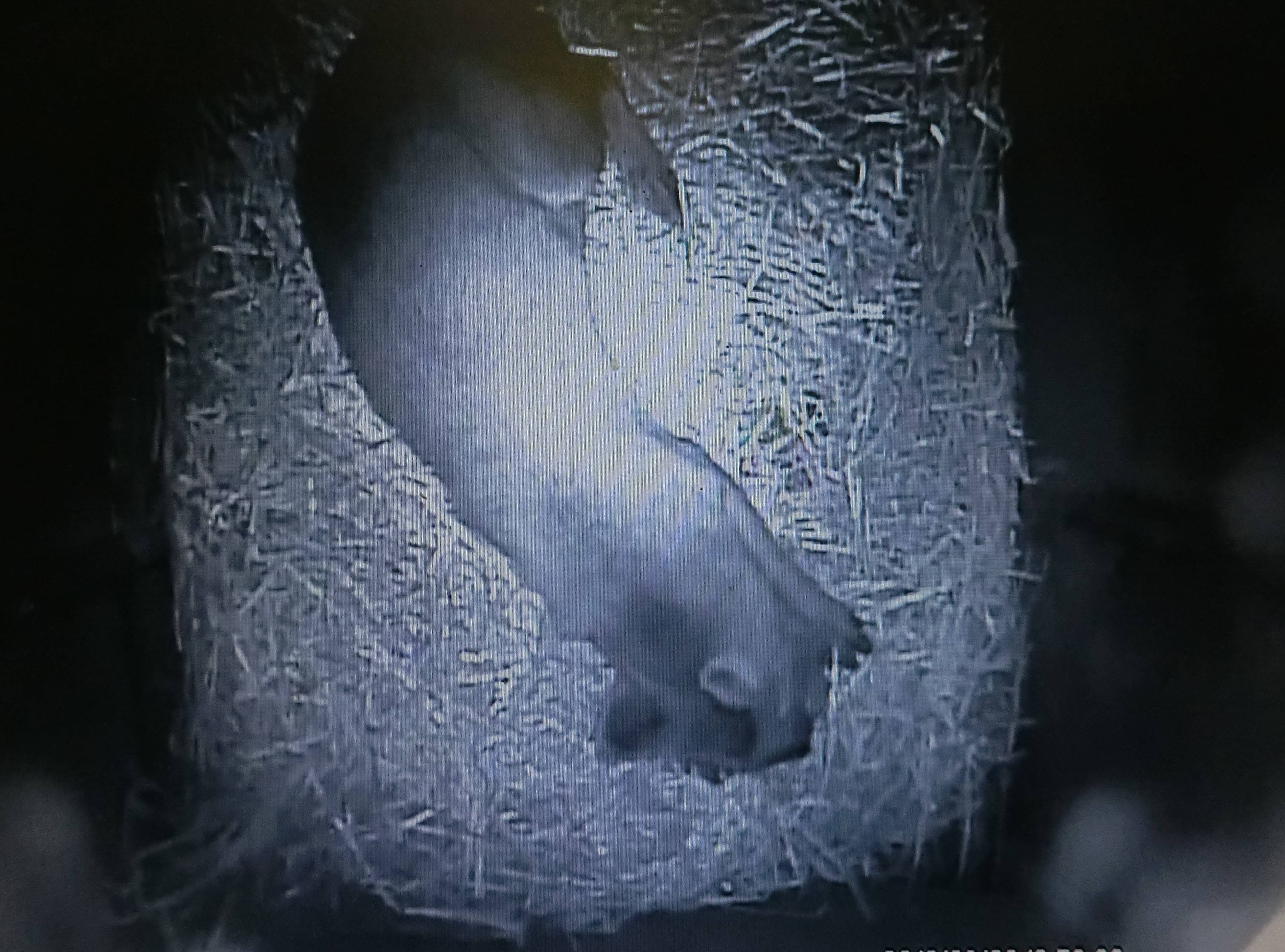 バースデー (2).jpg