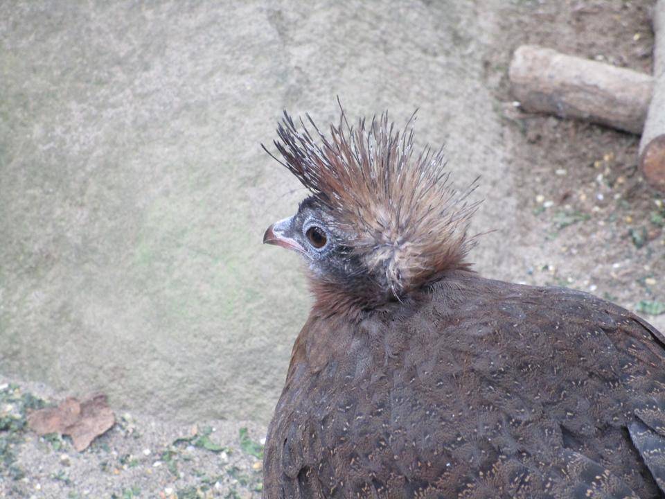 【飼育日誌】20210430:成長記12 (8).jpg