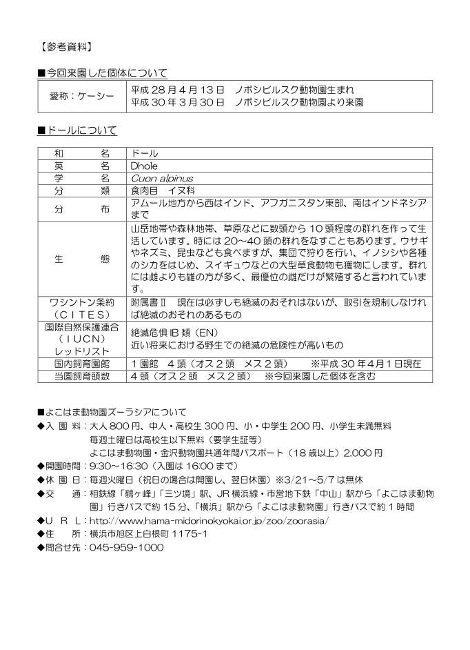 Newアイドール2.jpg