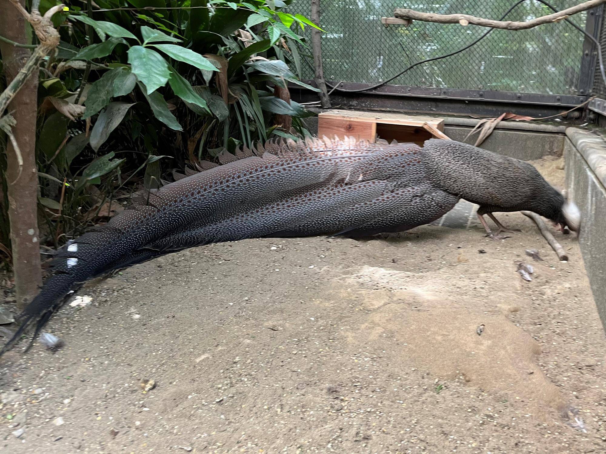 ブログ候補 (3)5.18.jpg