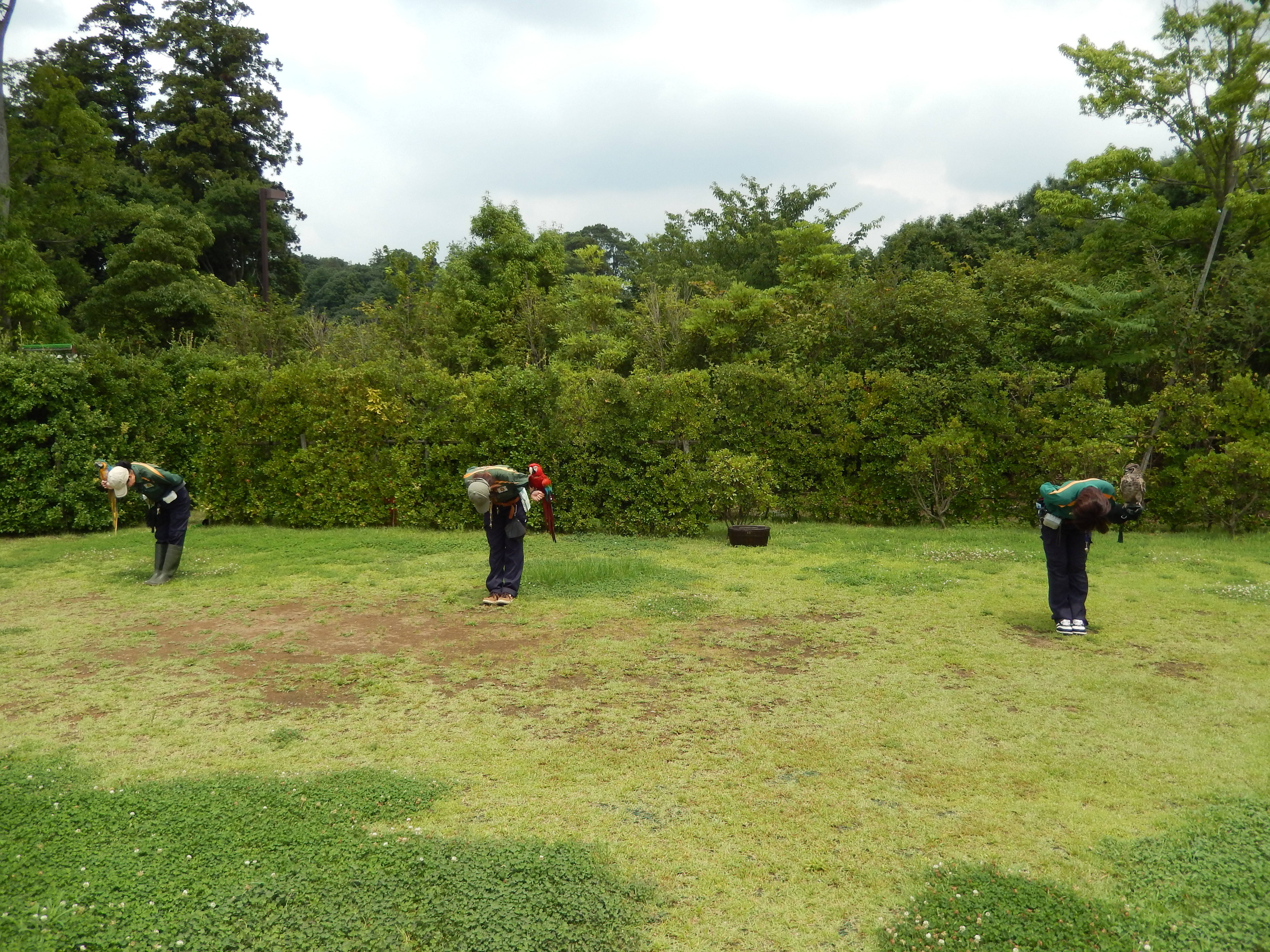 【飼育日誌】170801夜のバードショー (3).jpg