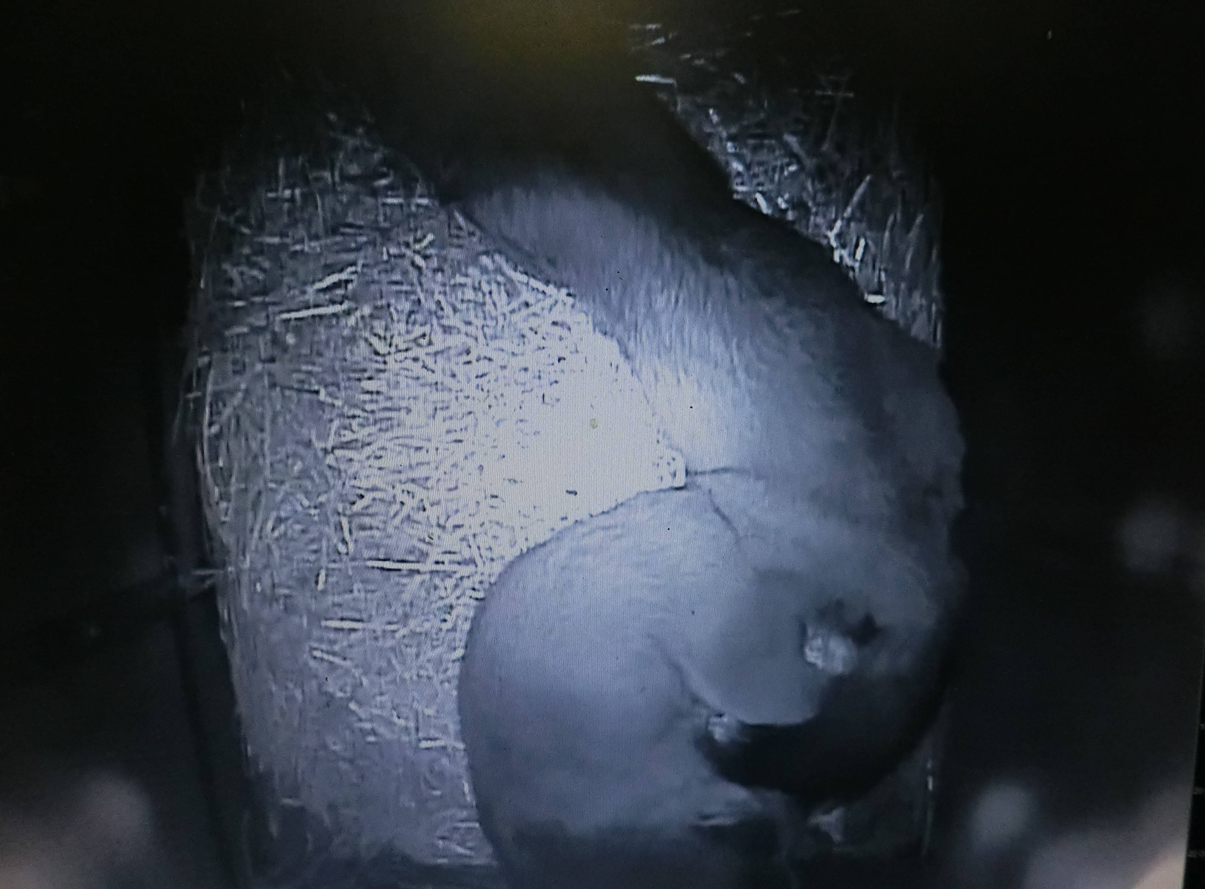 バースデー (4).jpg