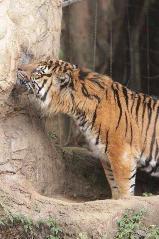 気になる箇所を匂うガンター
