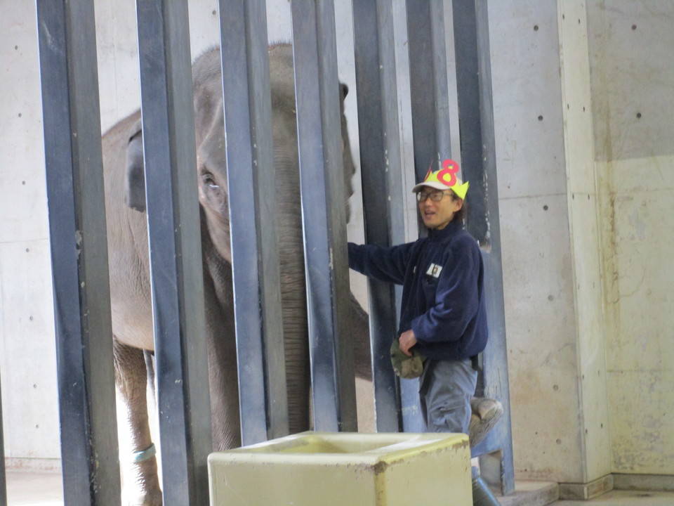 【飼育日誌】20181219:お誕生日会直前!⑨.jpg