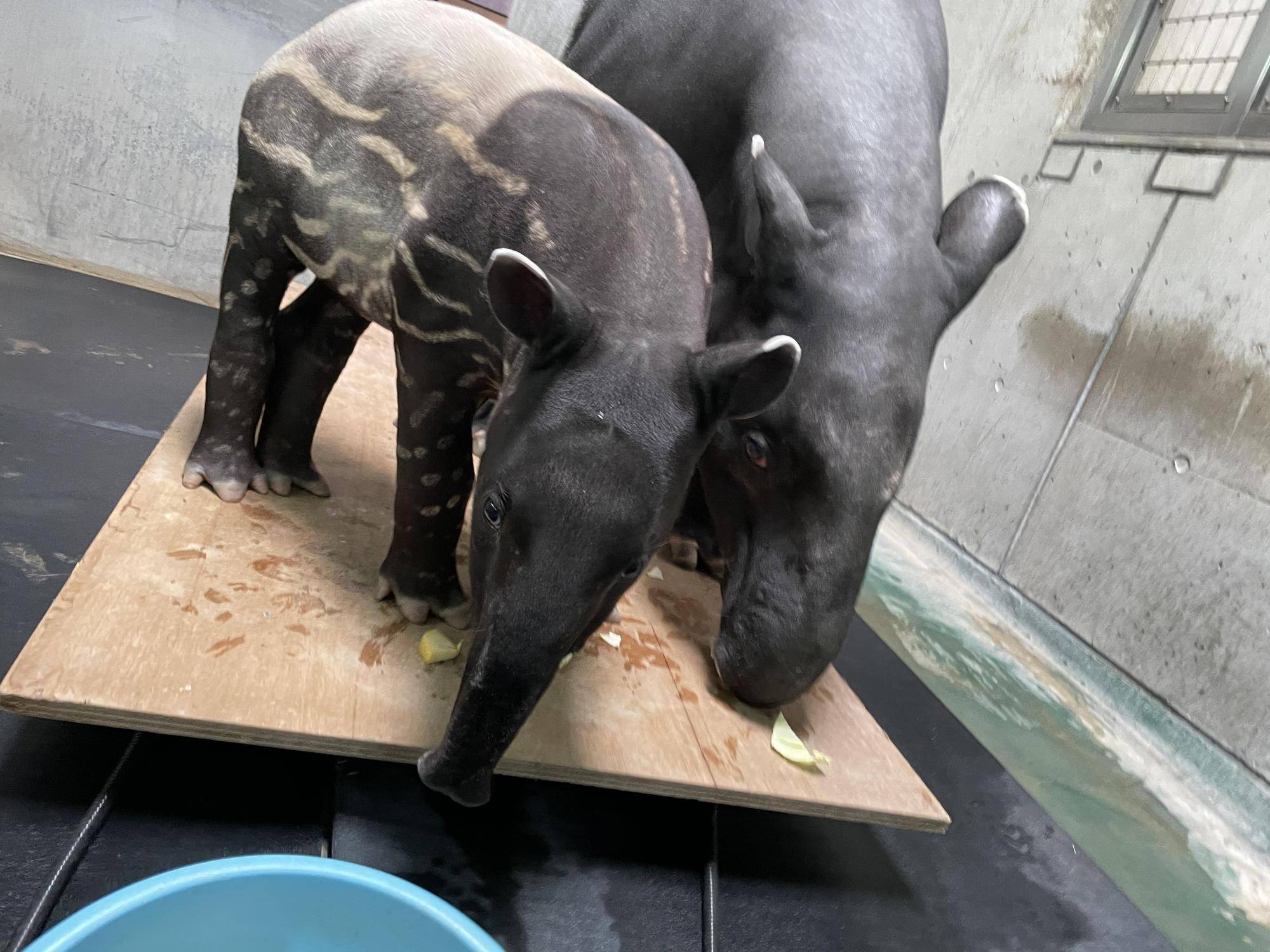 10 余裕のひでお.jpg