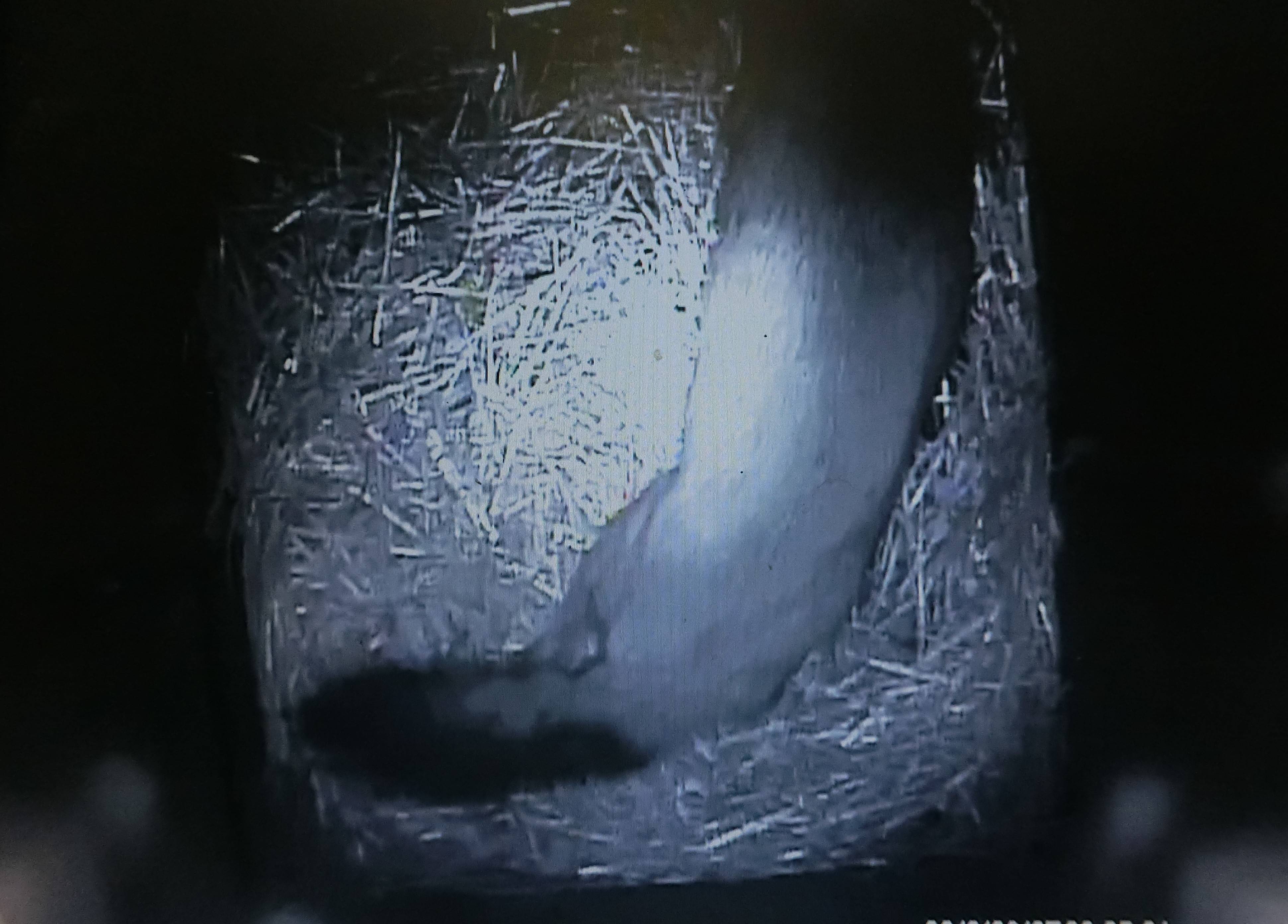 バースデー (44).jpg