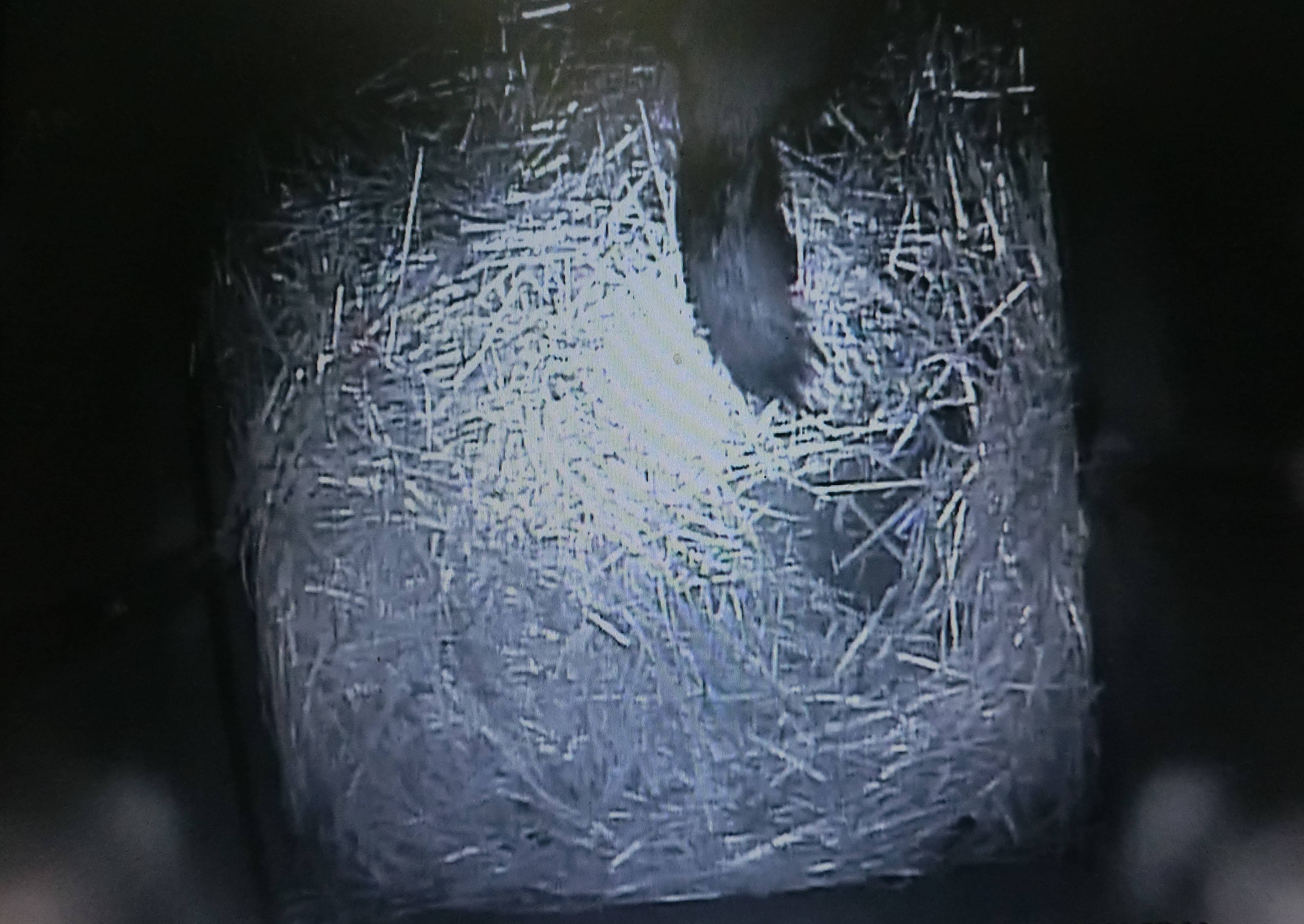 バースデー (42).jpg