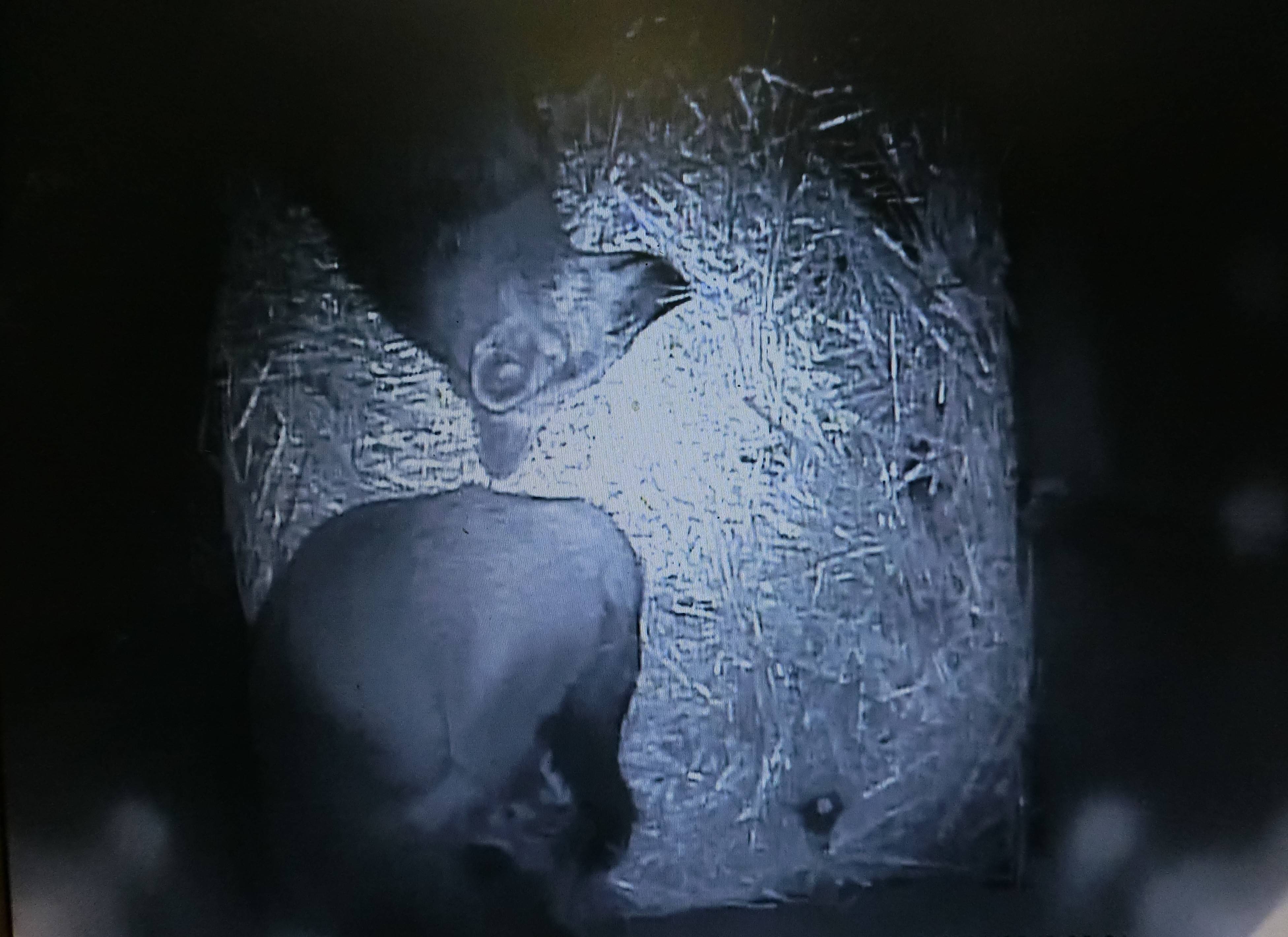 バースデー (7).jpg