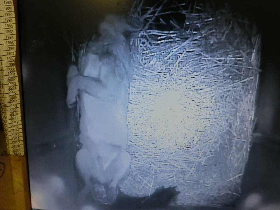 ケーシー (5).jpg