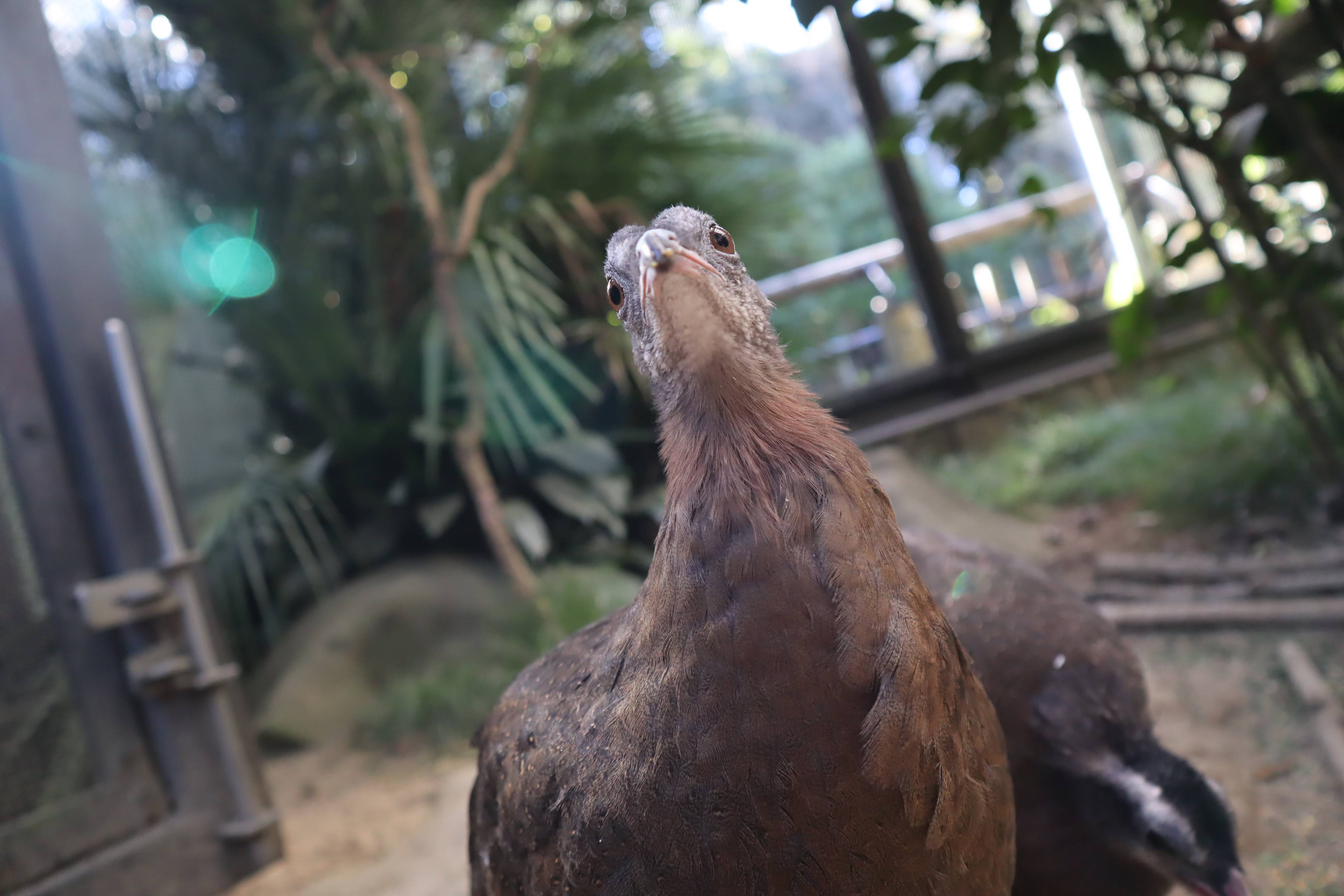 【飼育日誌】20210430:成長記12 (2).jpg