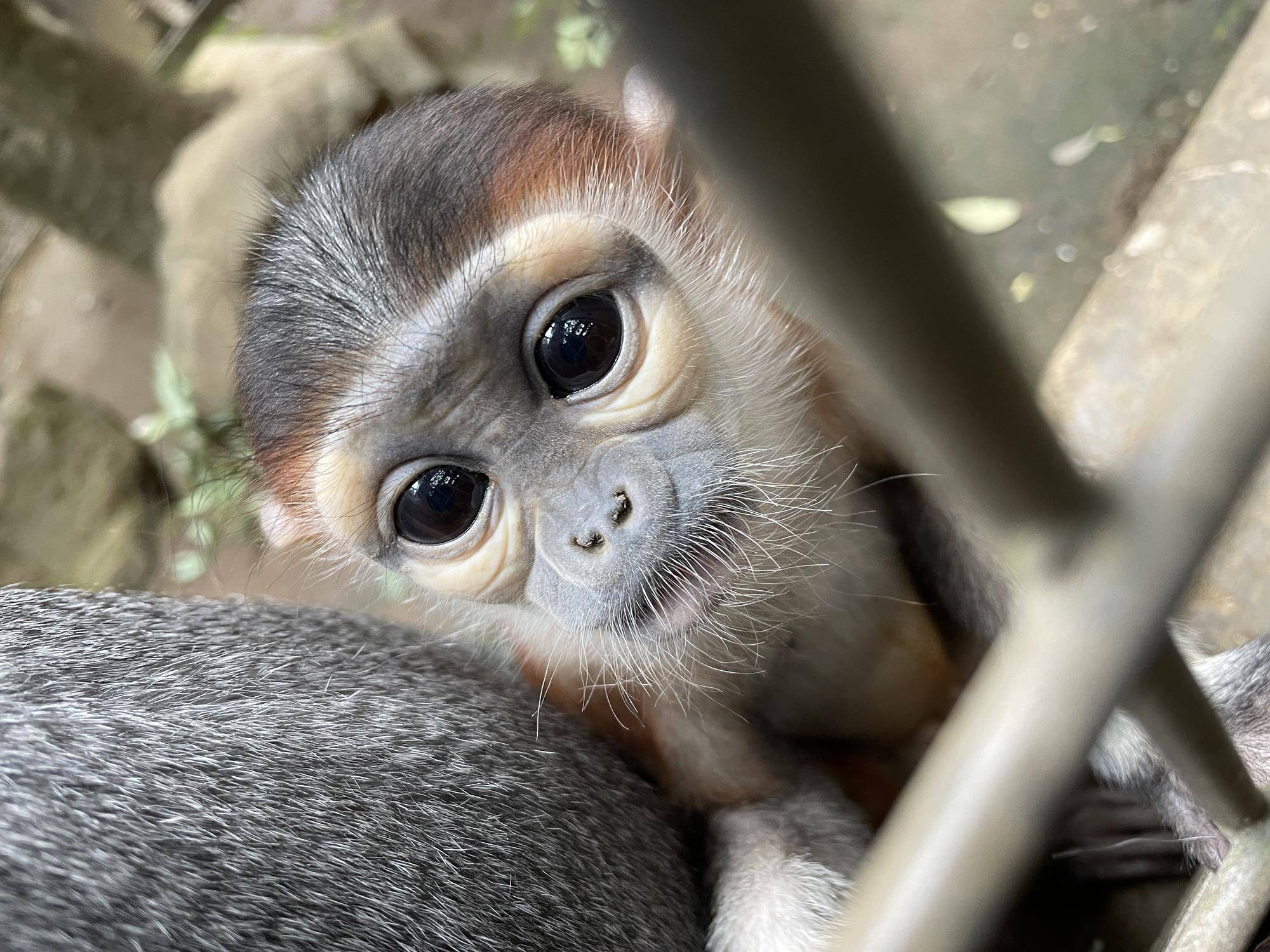 【飼育日誌】20220523:改めて紹介 (5).jpg