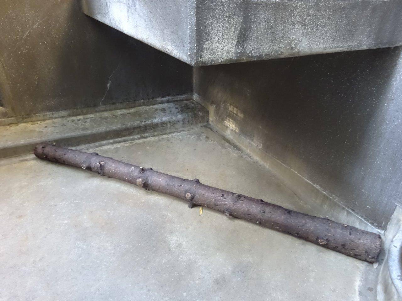 落ち葉を敷く前の状況