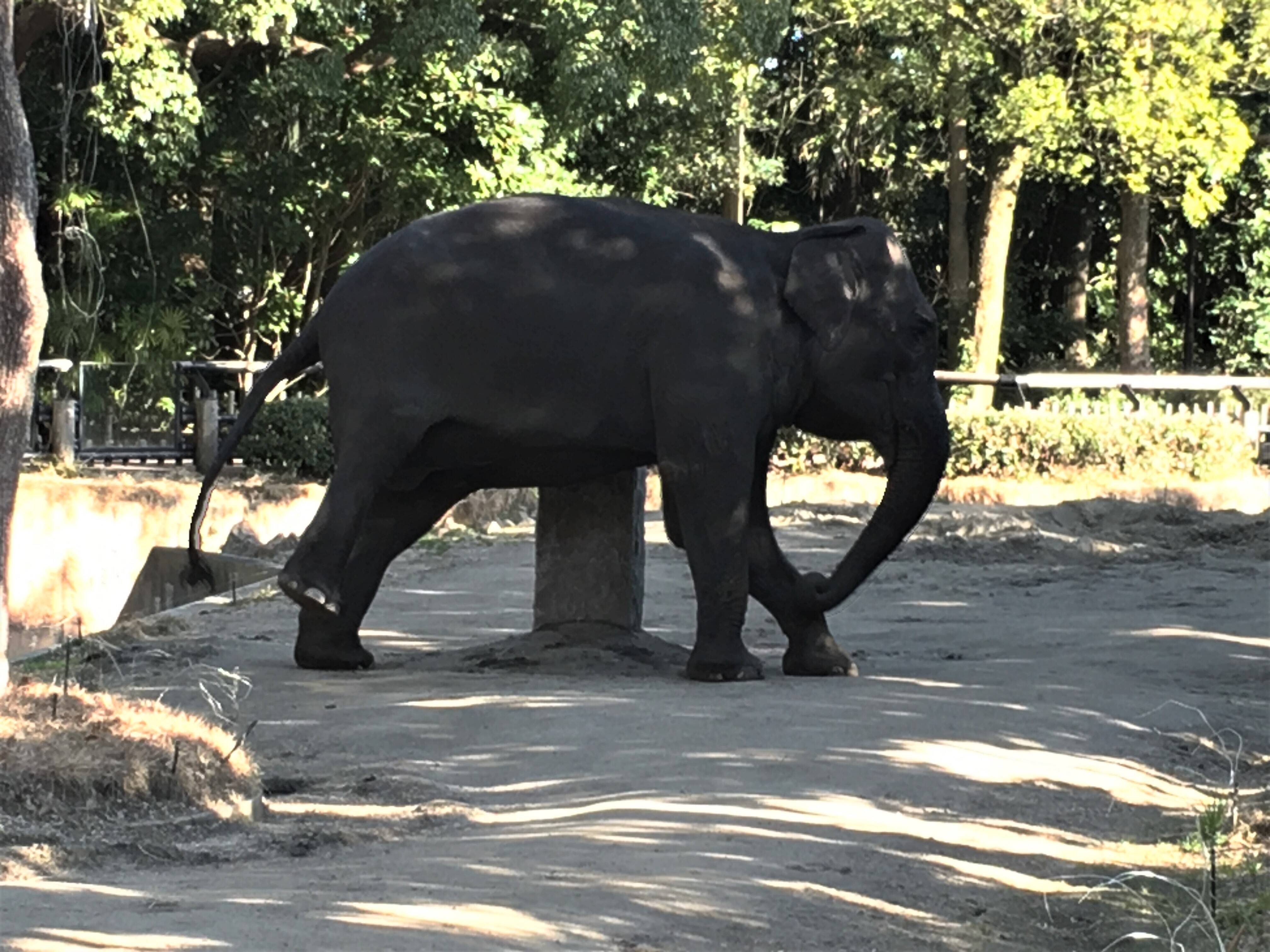 【飼育ブログ】20200307冬はお湯で (4).jpg