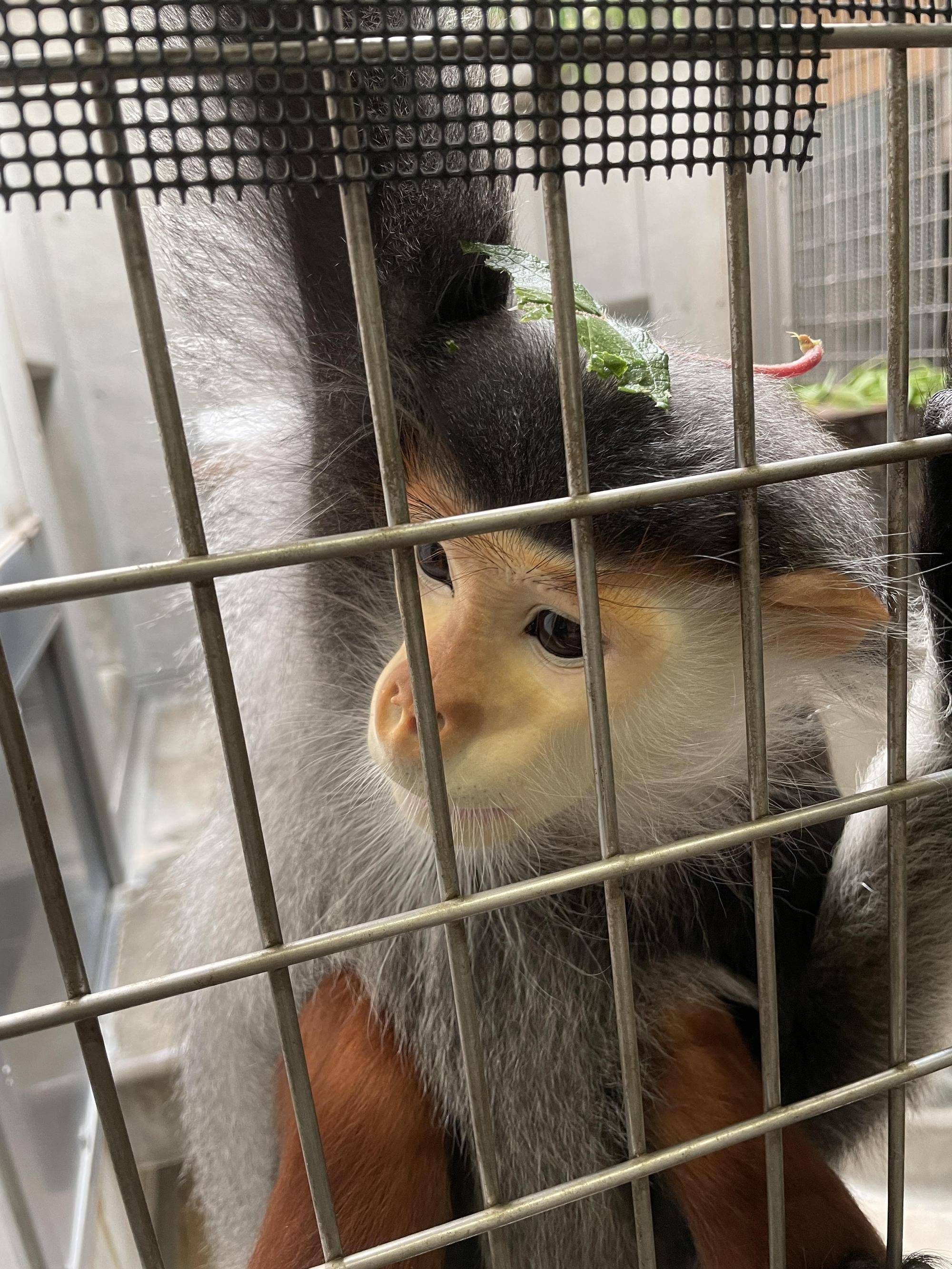 【飼育日誌】20220710:マニかっぱ現る (3).jpg