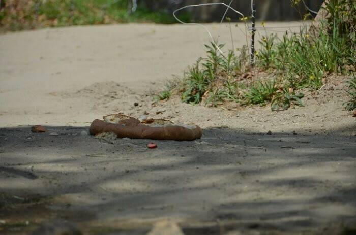 飼育日誌 190428-6 20thゾウ.jpg