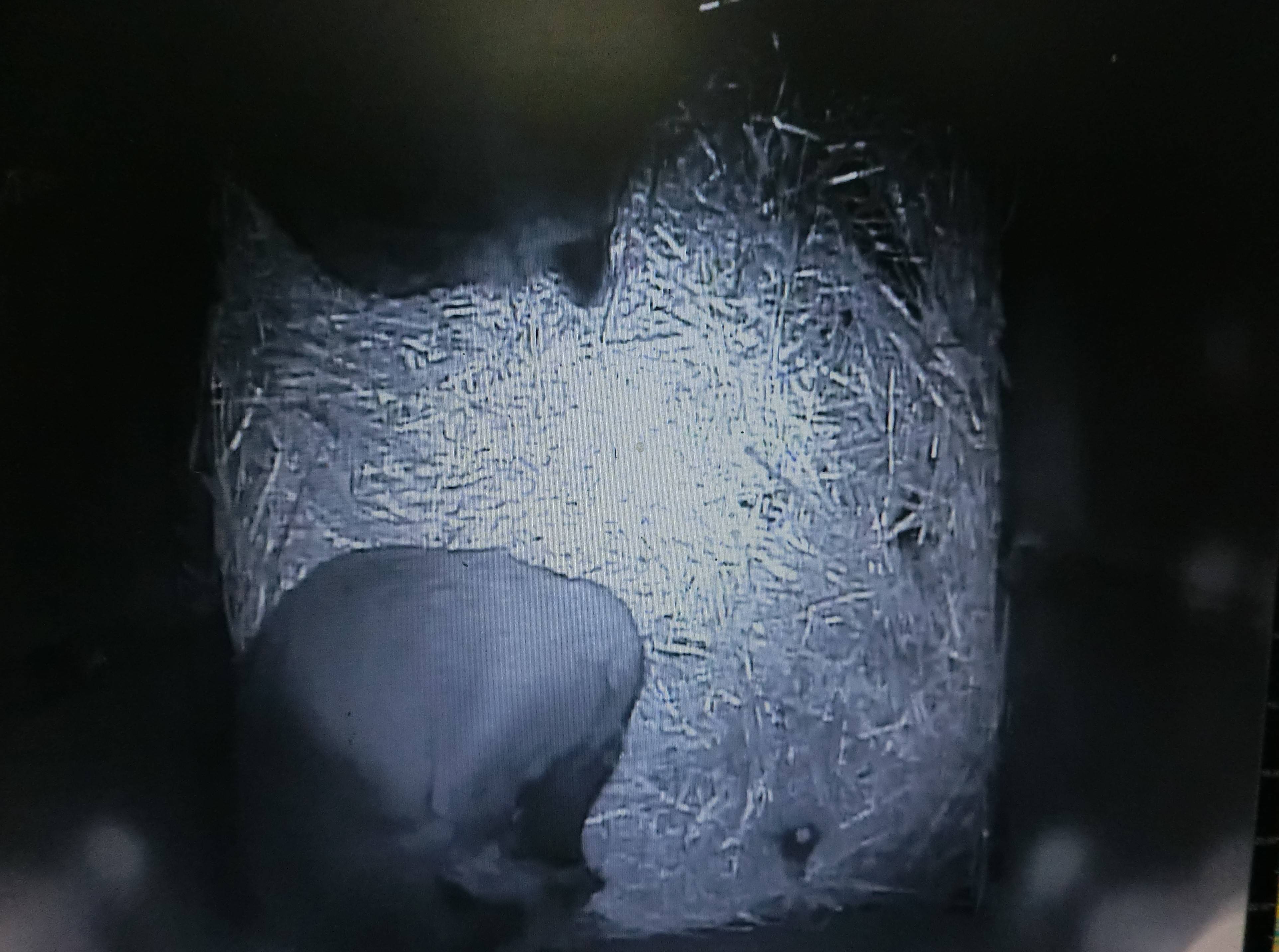 バースデー (5).jpg