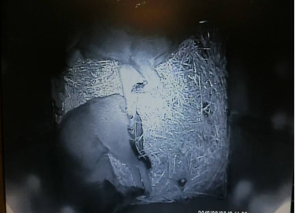 バースデー (11).jpg